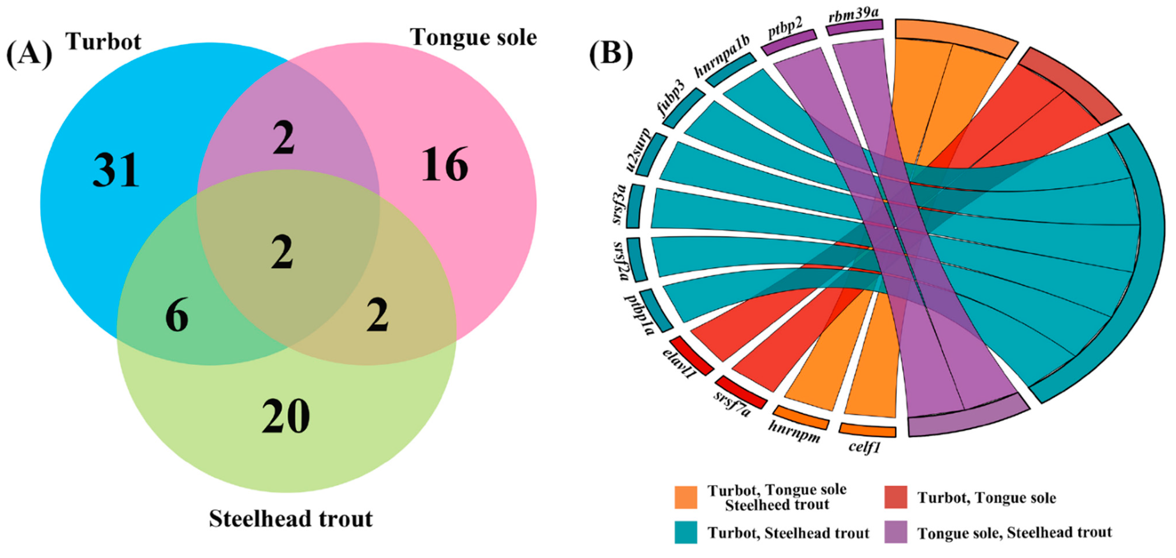 Biology 11 00222 g006
