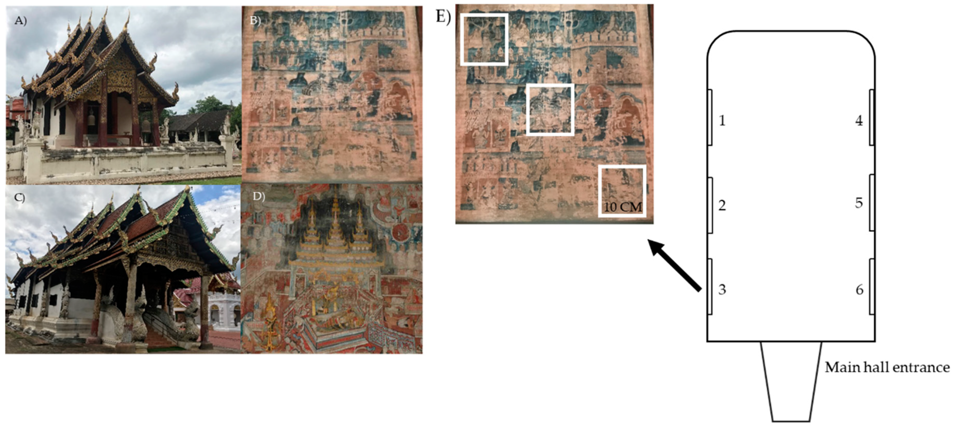 Biology 11 00228 g001 Biology 11 00228 g001