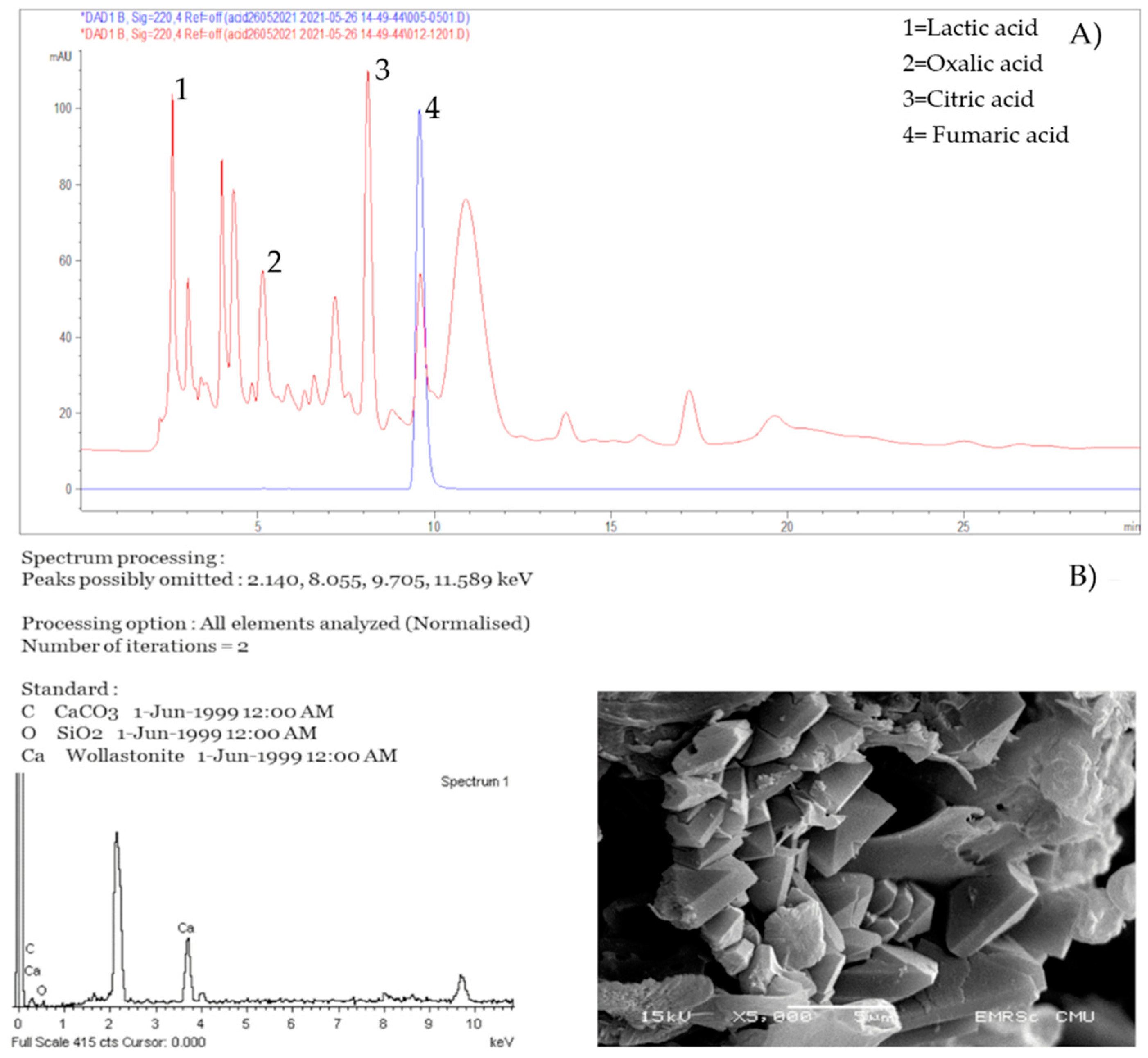 Biology 11 00228 g003 Biology 11 00228 g003