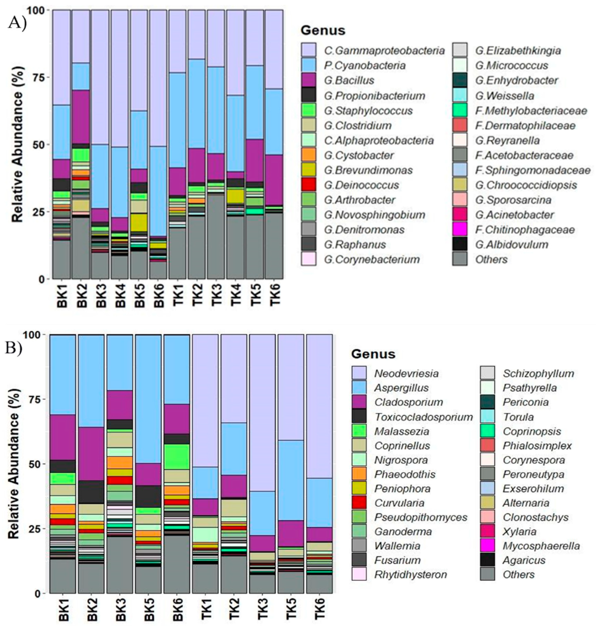 Biology 11 00228 g004 Biology 11 00228 g004