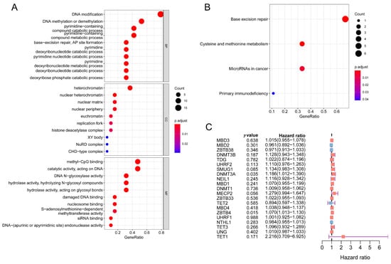 Biology 11 00231 g0a1 550
