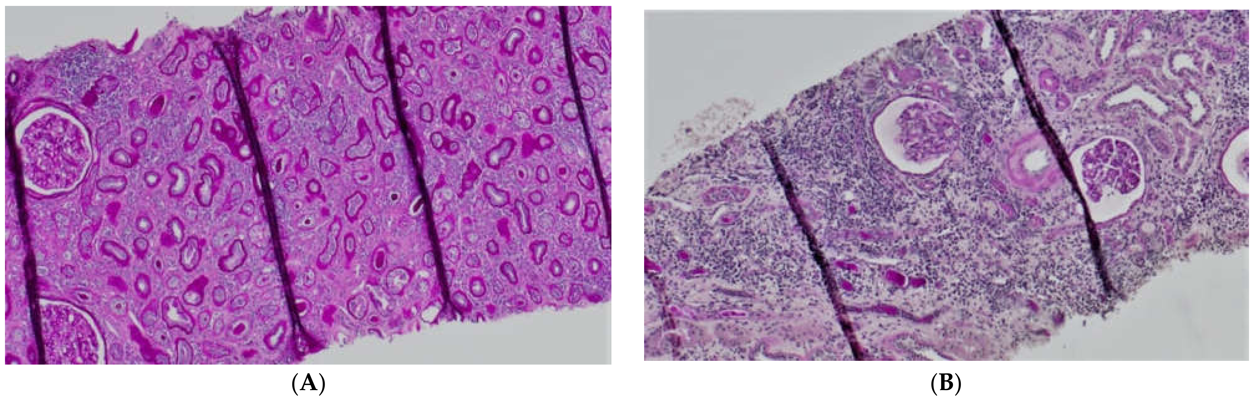 Biology 11 00232 g006