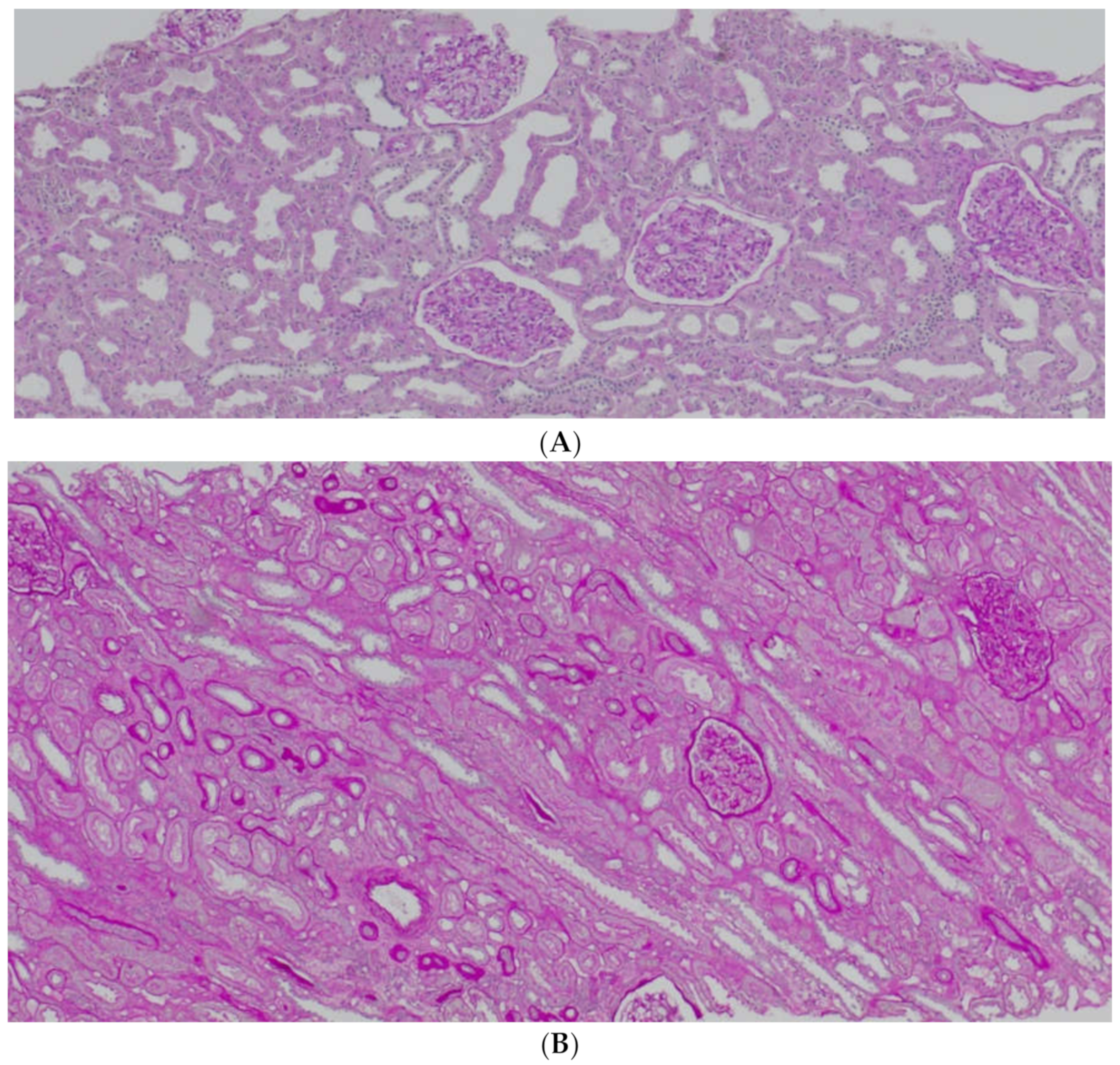 Biology 11 00232 g007
