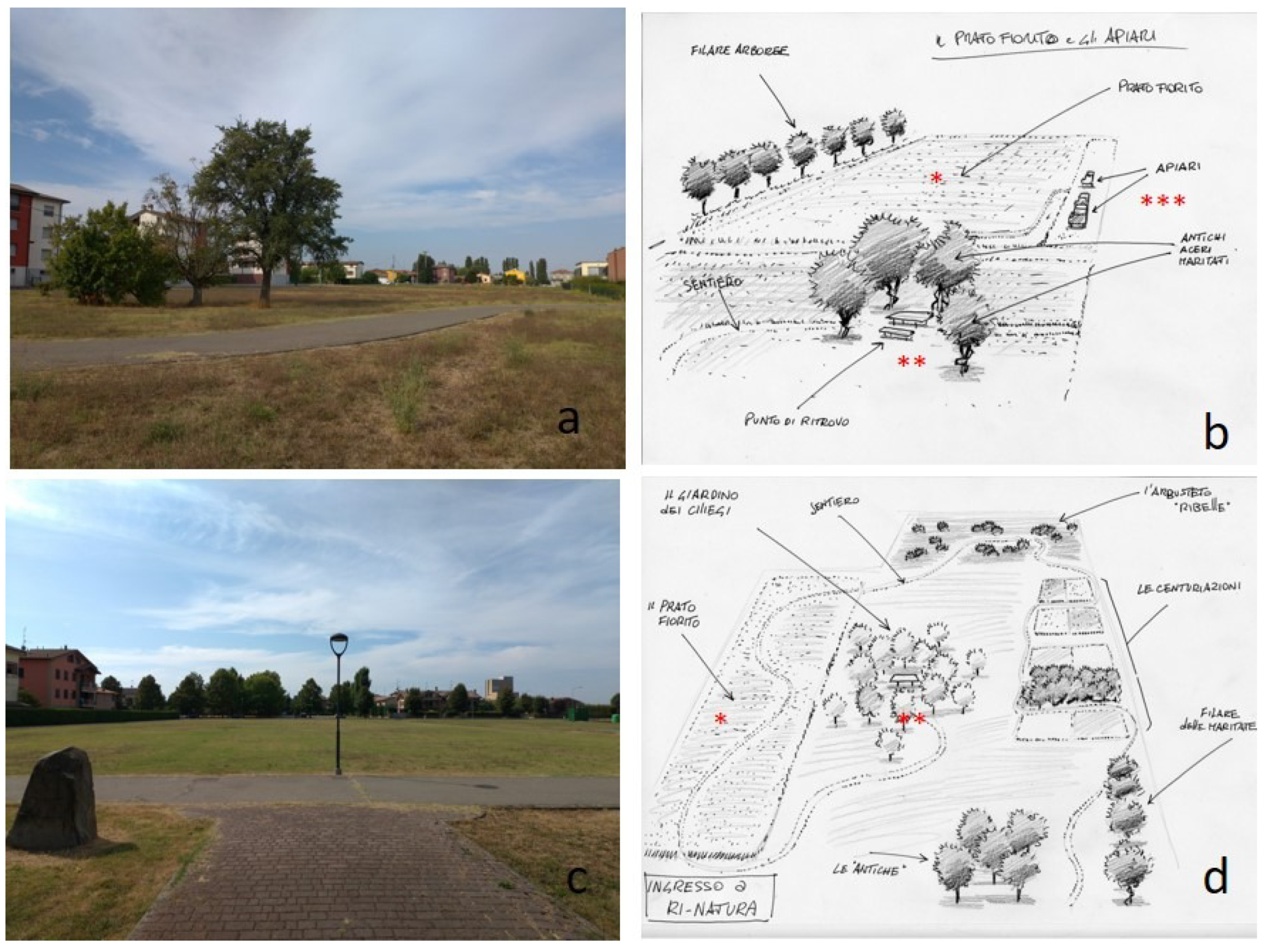 Biology 11 00233 g003