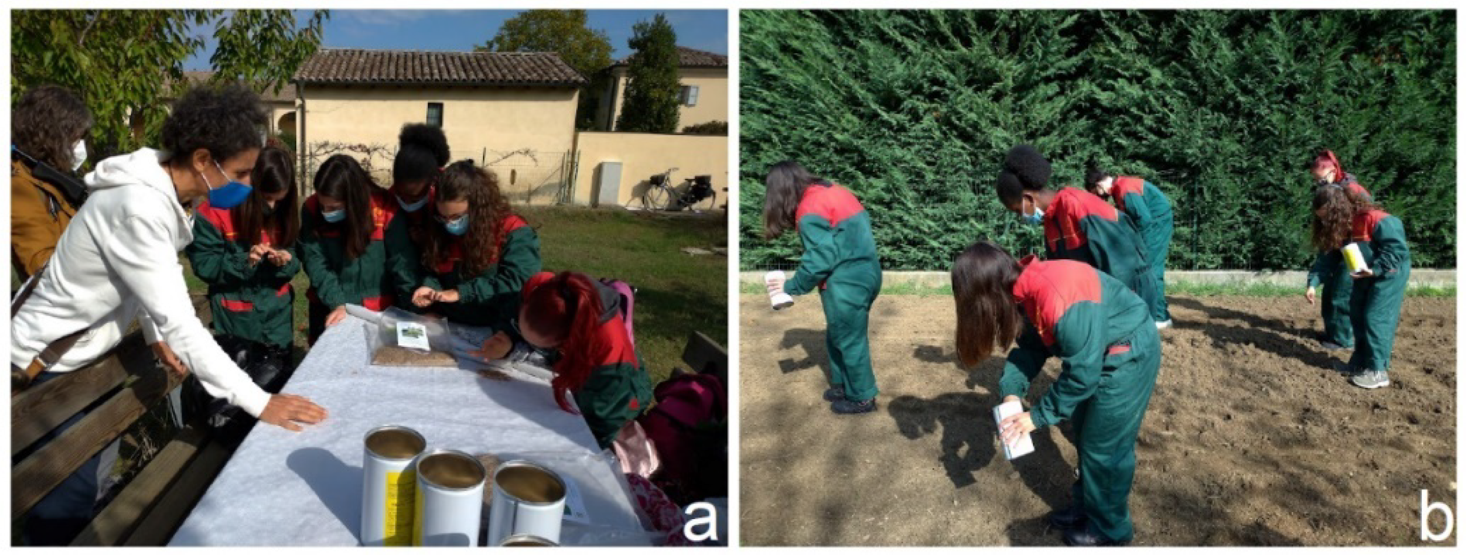 Biology 11 00233 g004