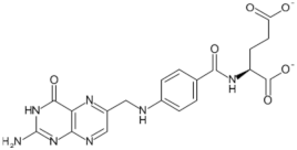 Biology 11 00239 i019