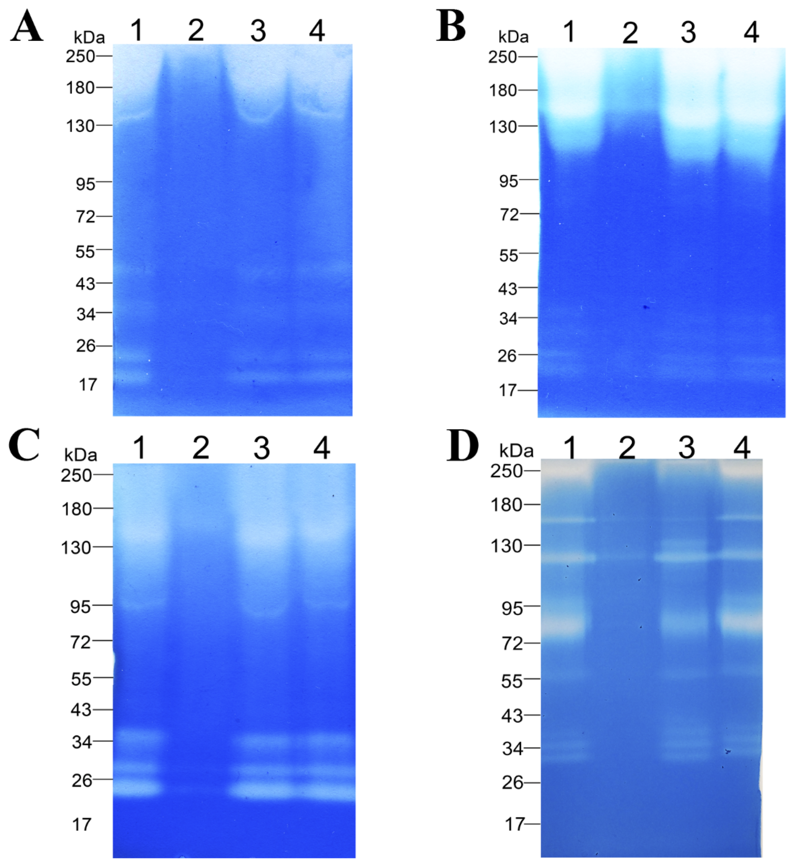 Biology 11 00244 g005 Biology 11 00244 g005