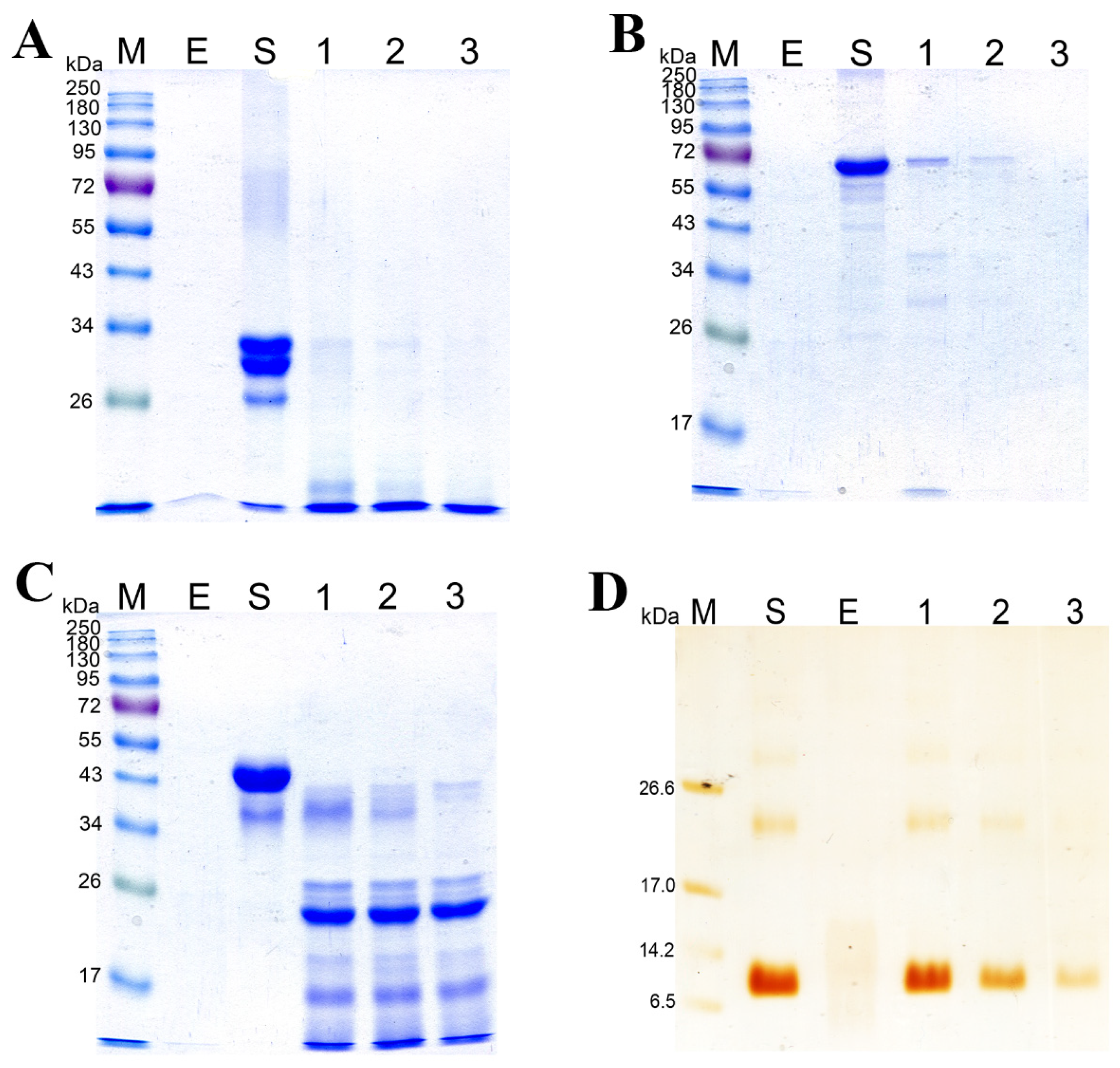 Biology 11 00244 g006 Biology 11 00244 g006