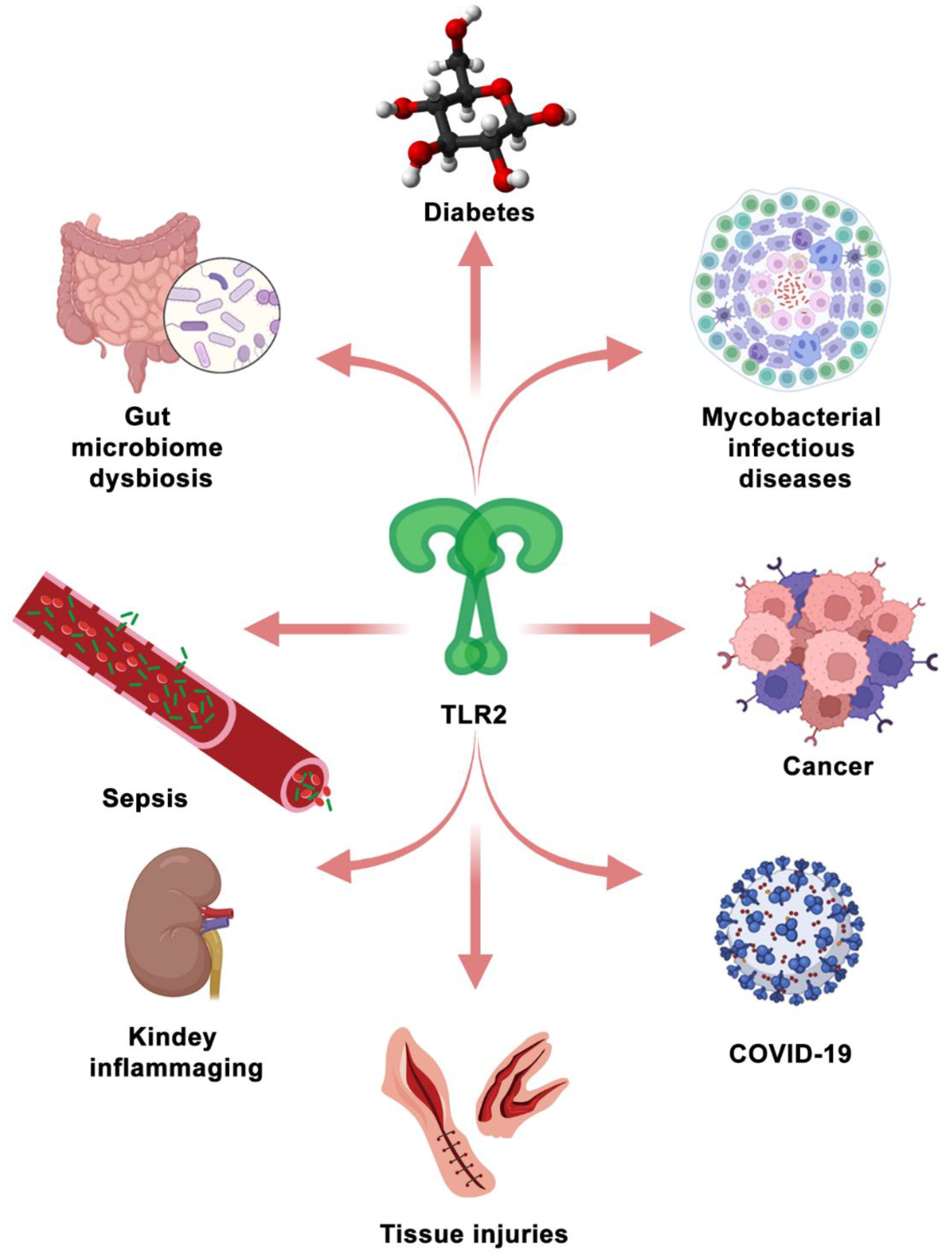 Biology 11 00246 g004