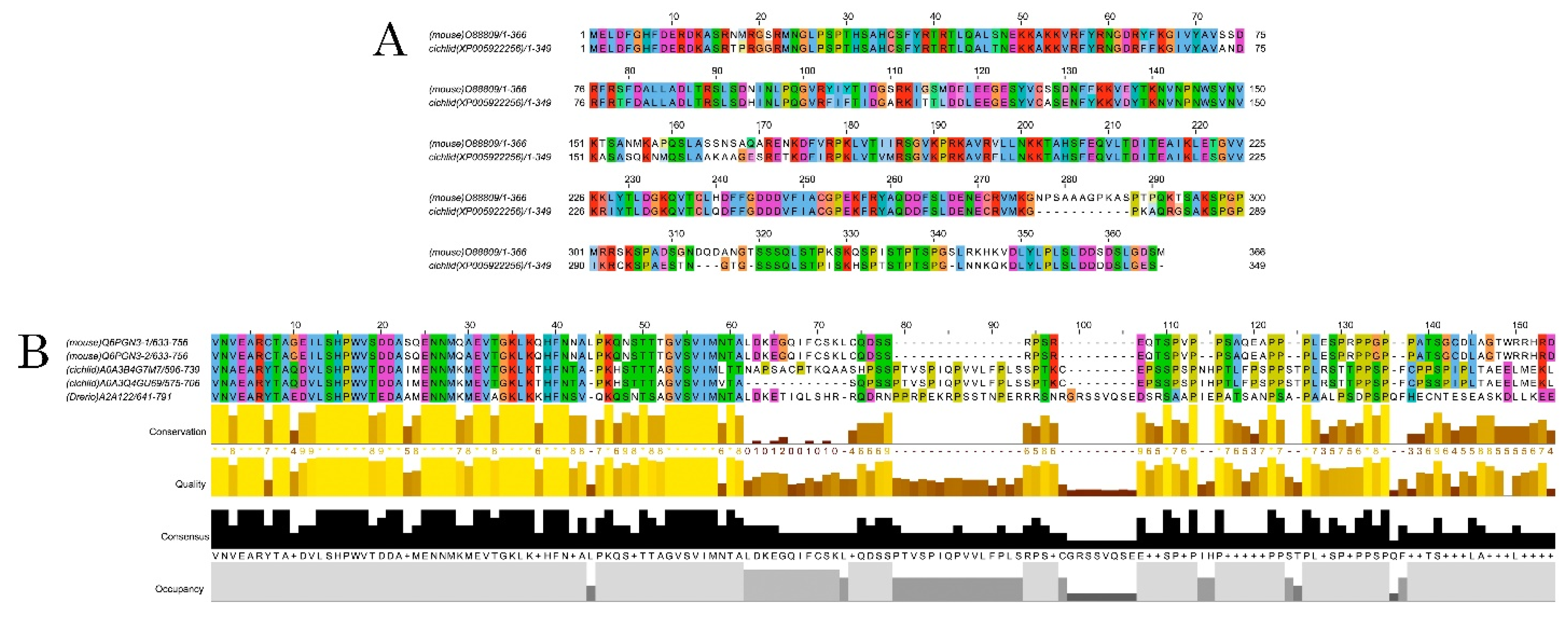 Biology 11 00248 g003 Biology 11 00248 g003