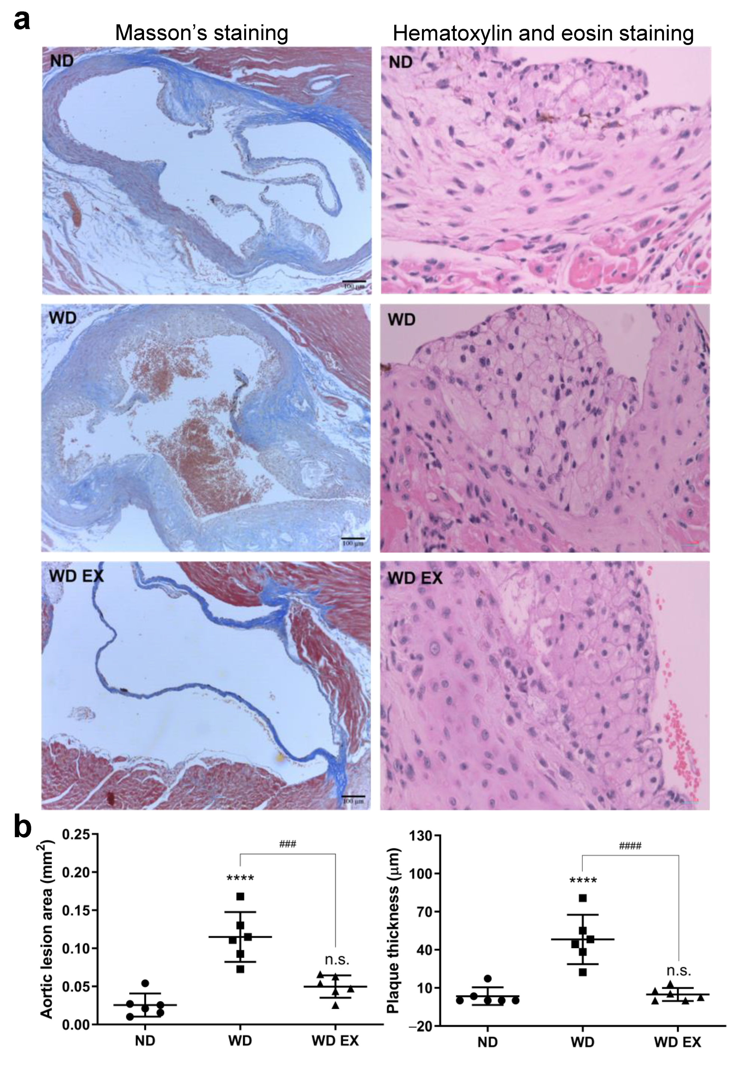 Biology 11 00253 g001