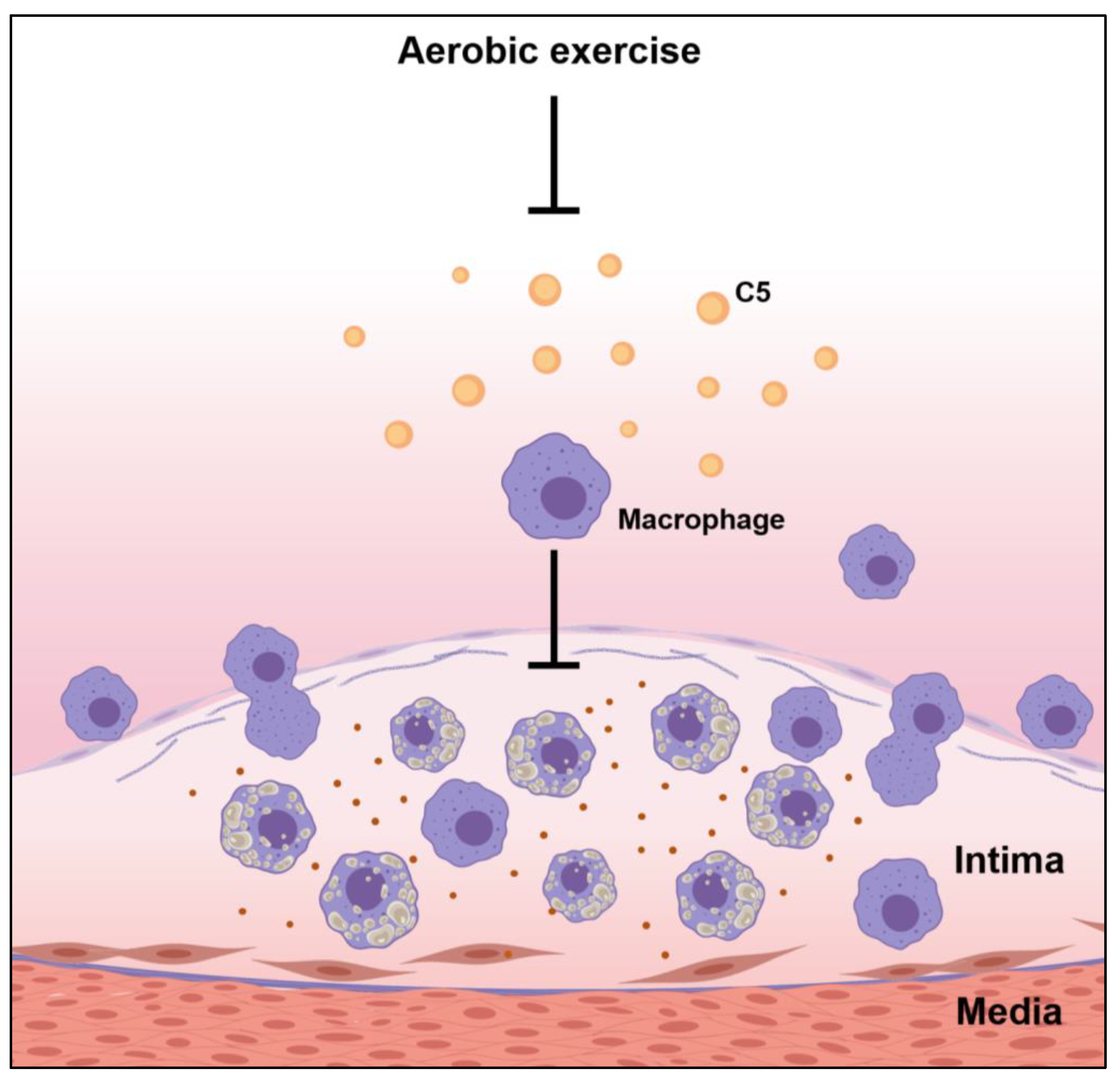 Biology 11 00253 g006