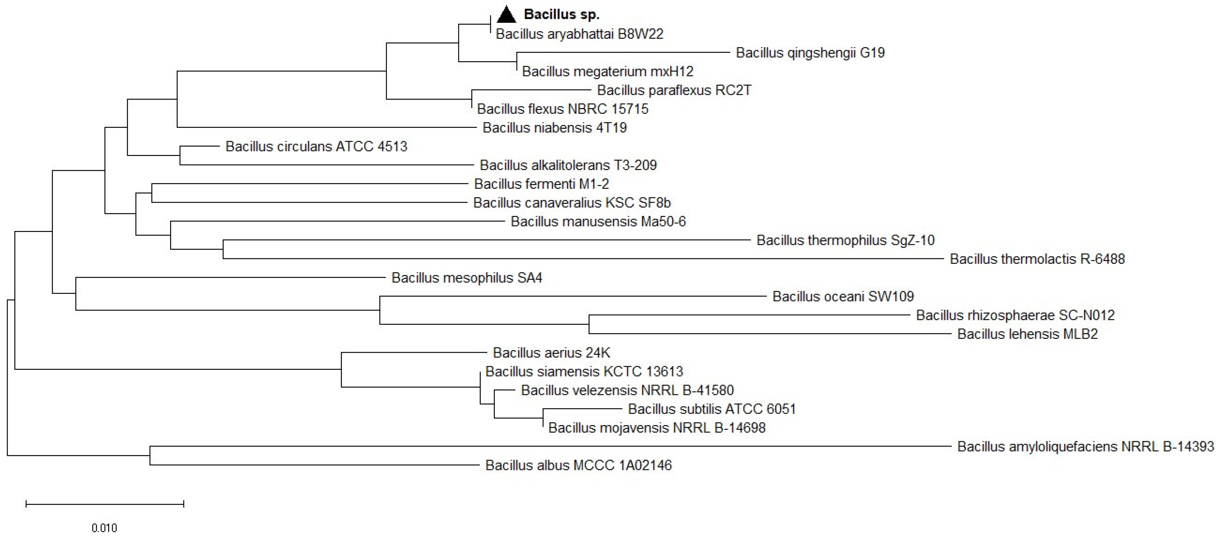 Biology 11 00254 g001
