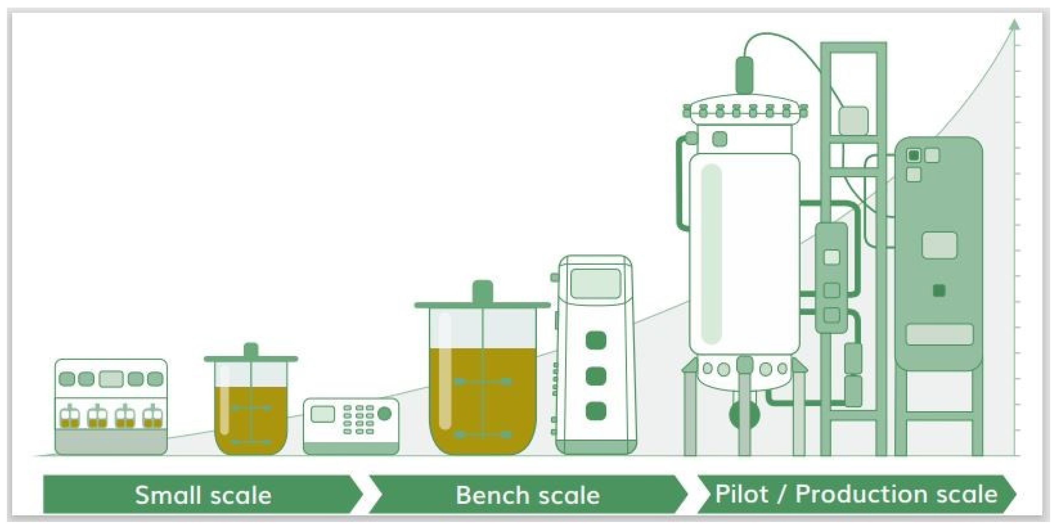 Biology 11 00254 g003a