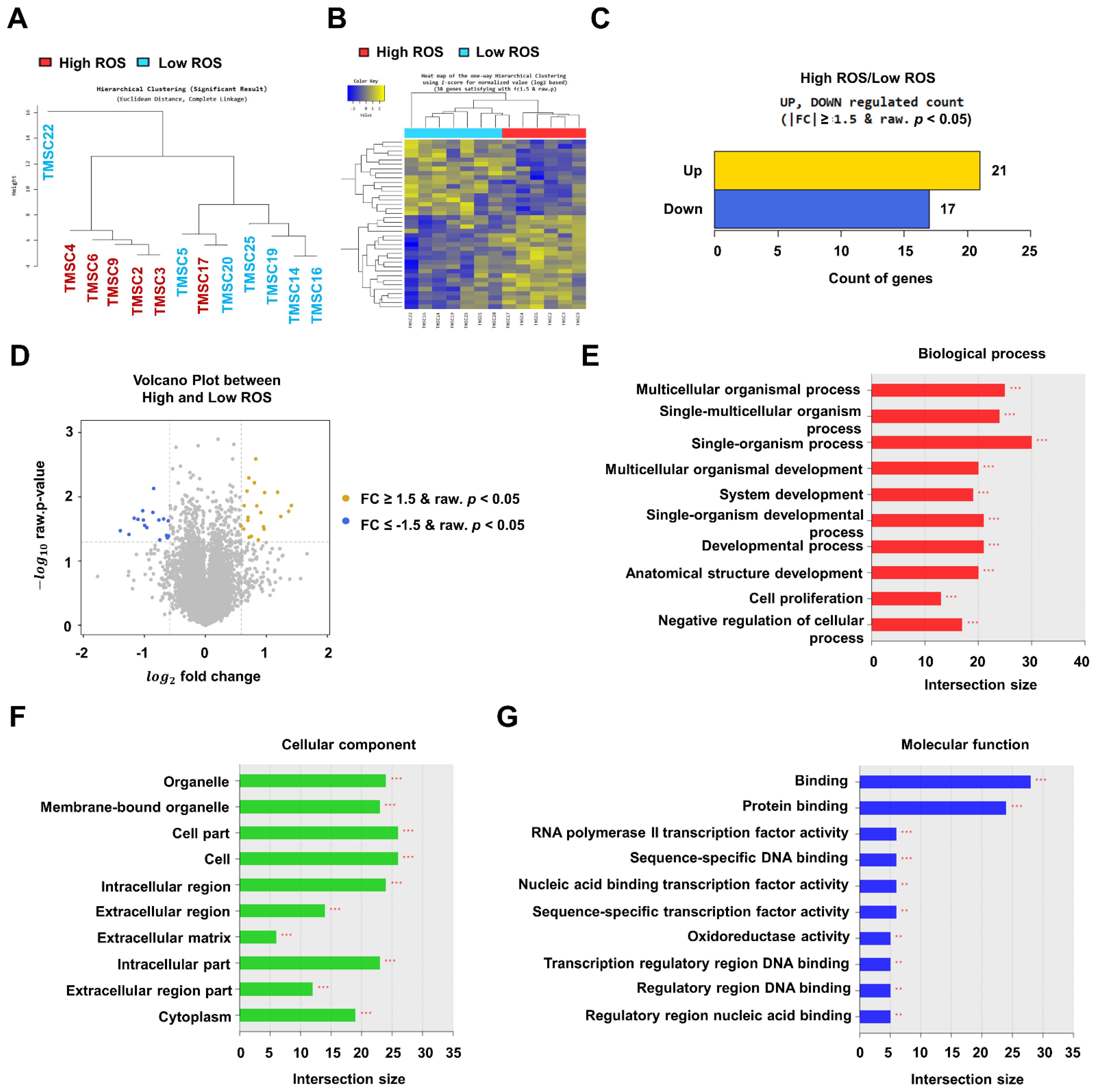 Biology 11 00255 g002