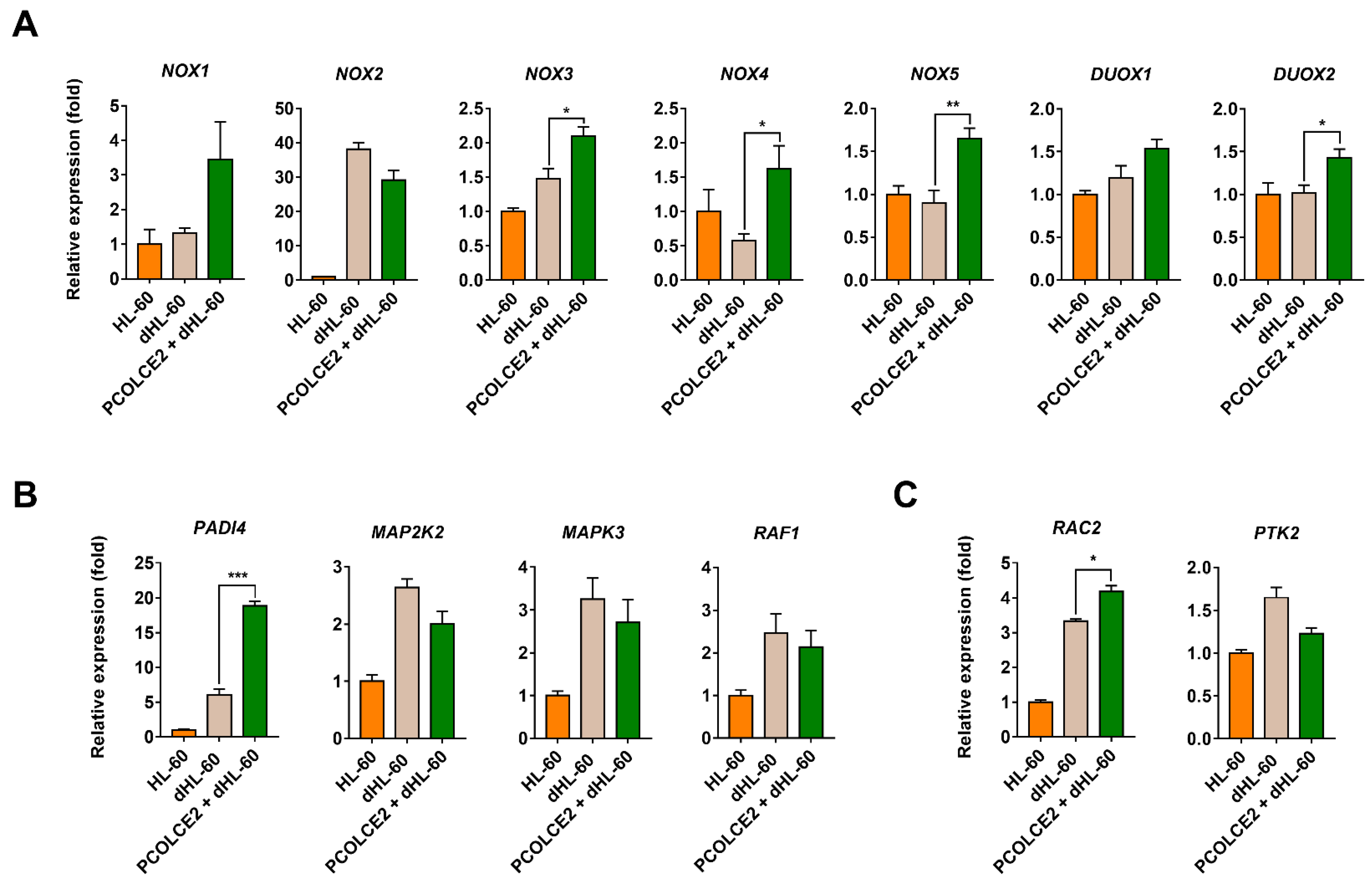 Biology 11 00255 g005