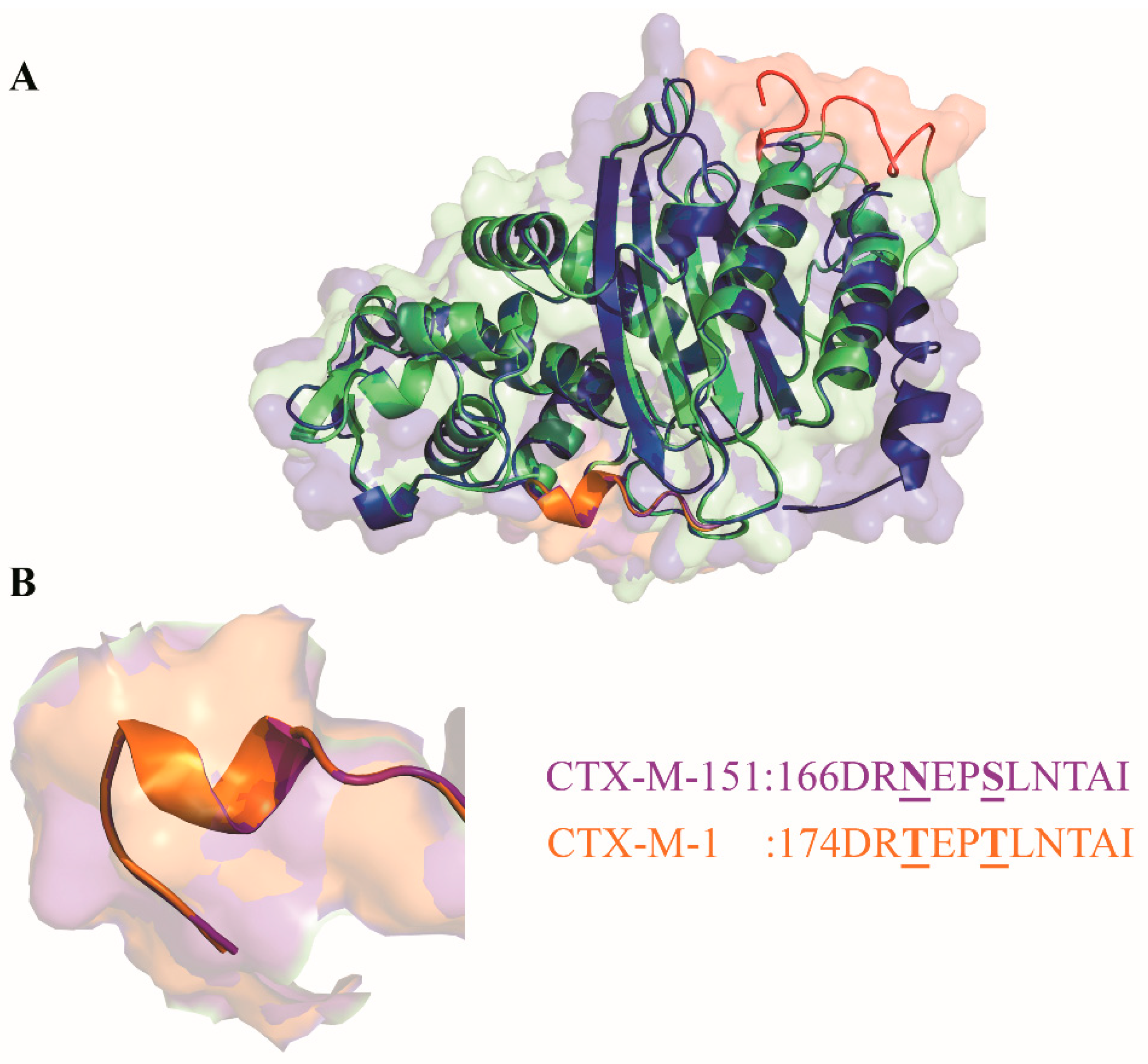 Biology 11 00256 g003