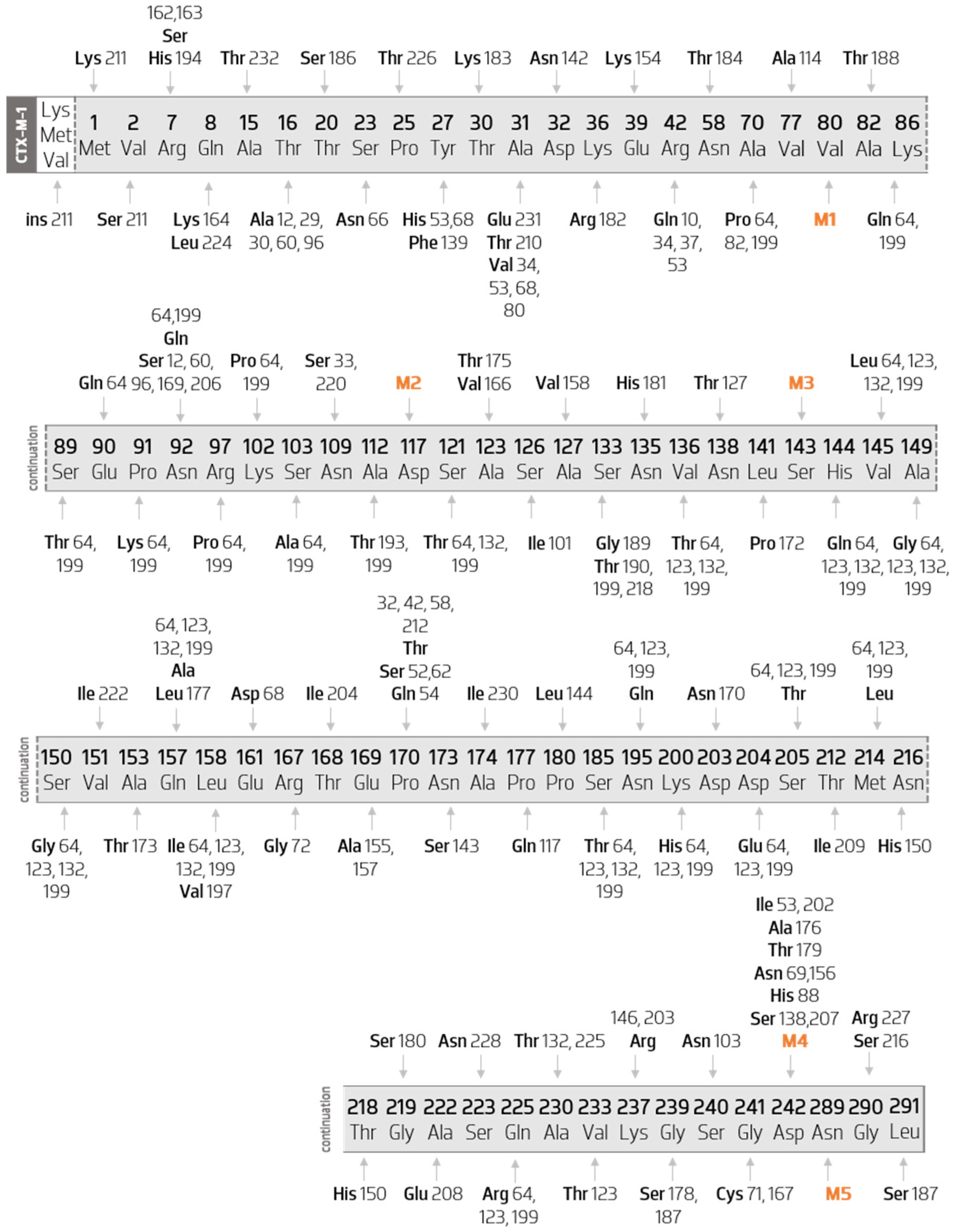 Biology 11 00256 g004