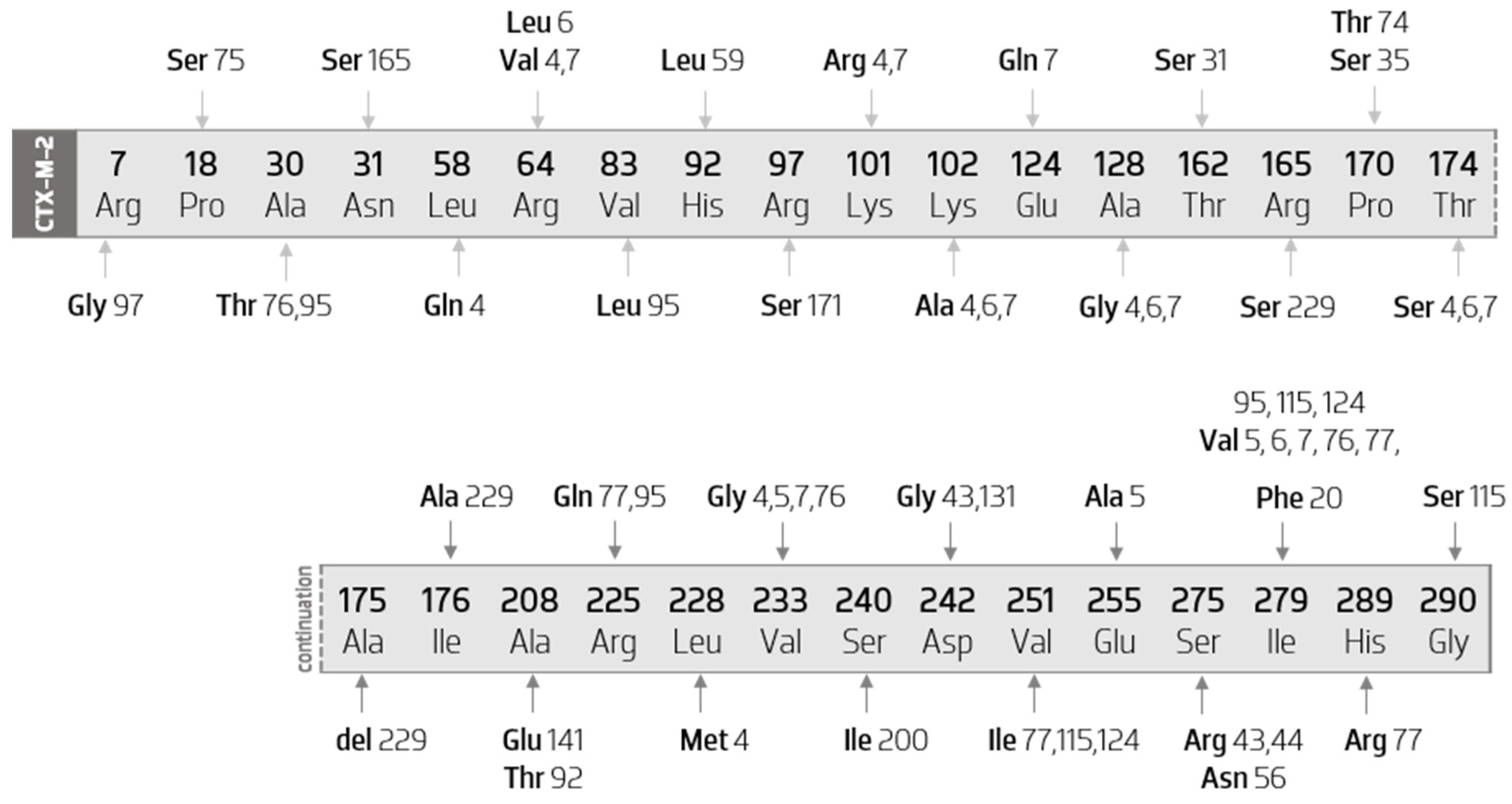 Biology 11 00256 g005