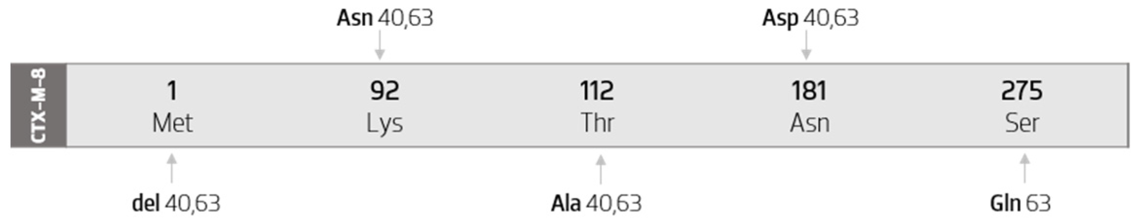 Biology 11 00256 g006