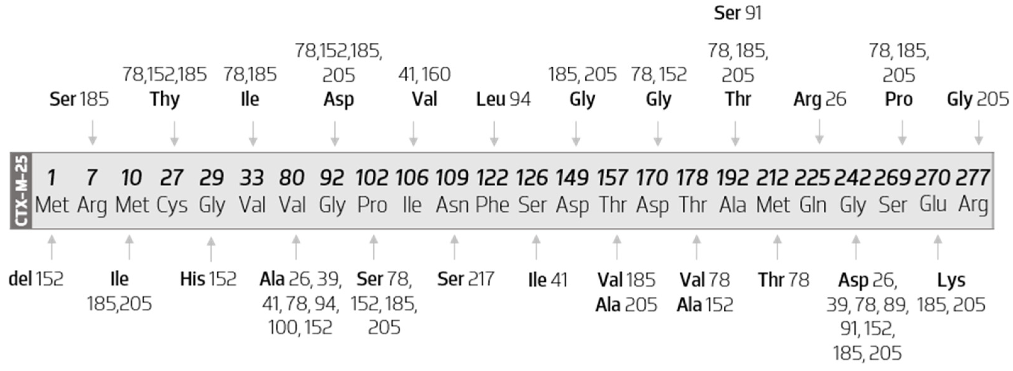 Biology 11 00256 g008