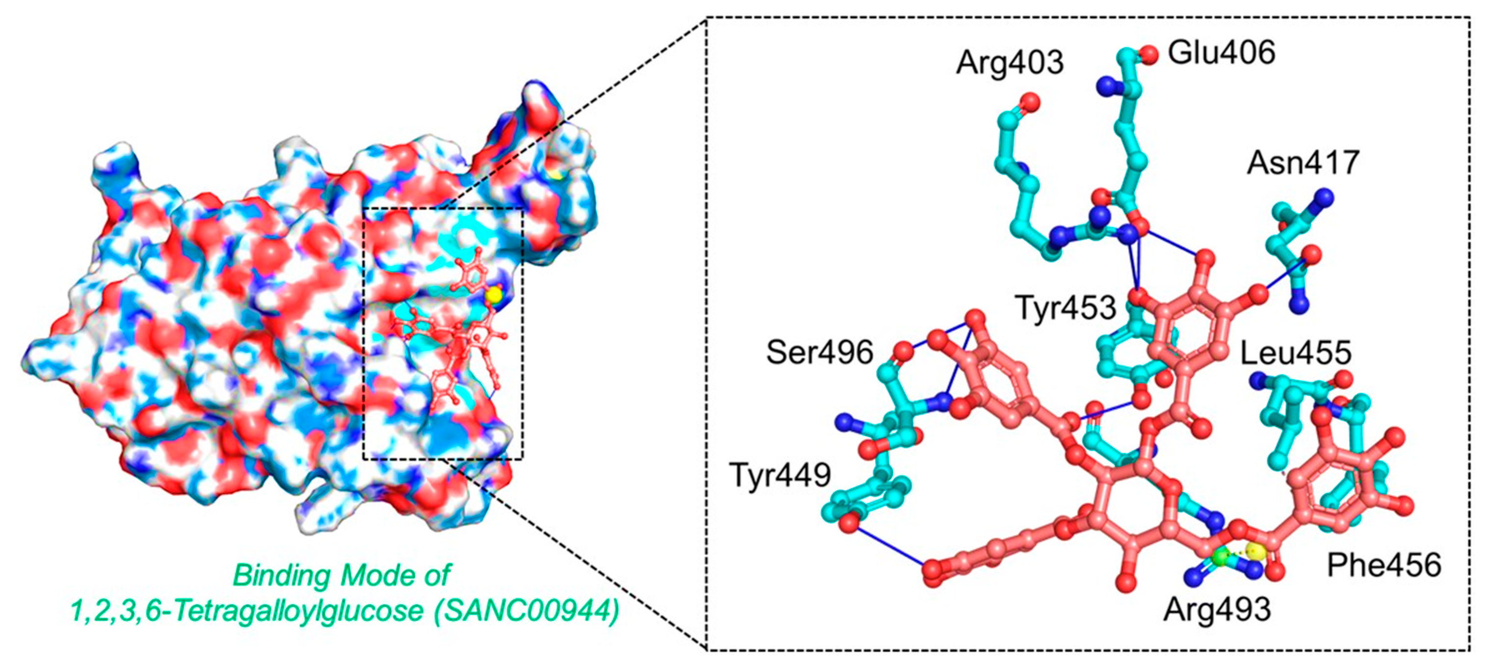 Biology 11 00258 g003