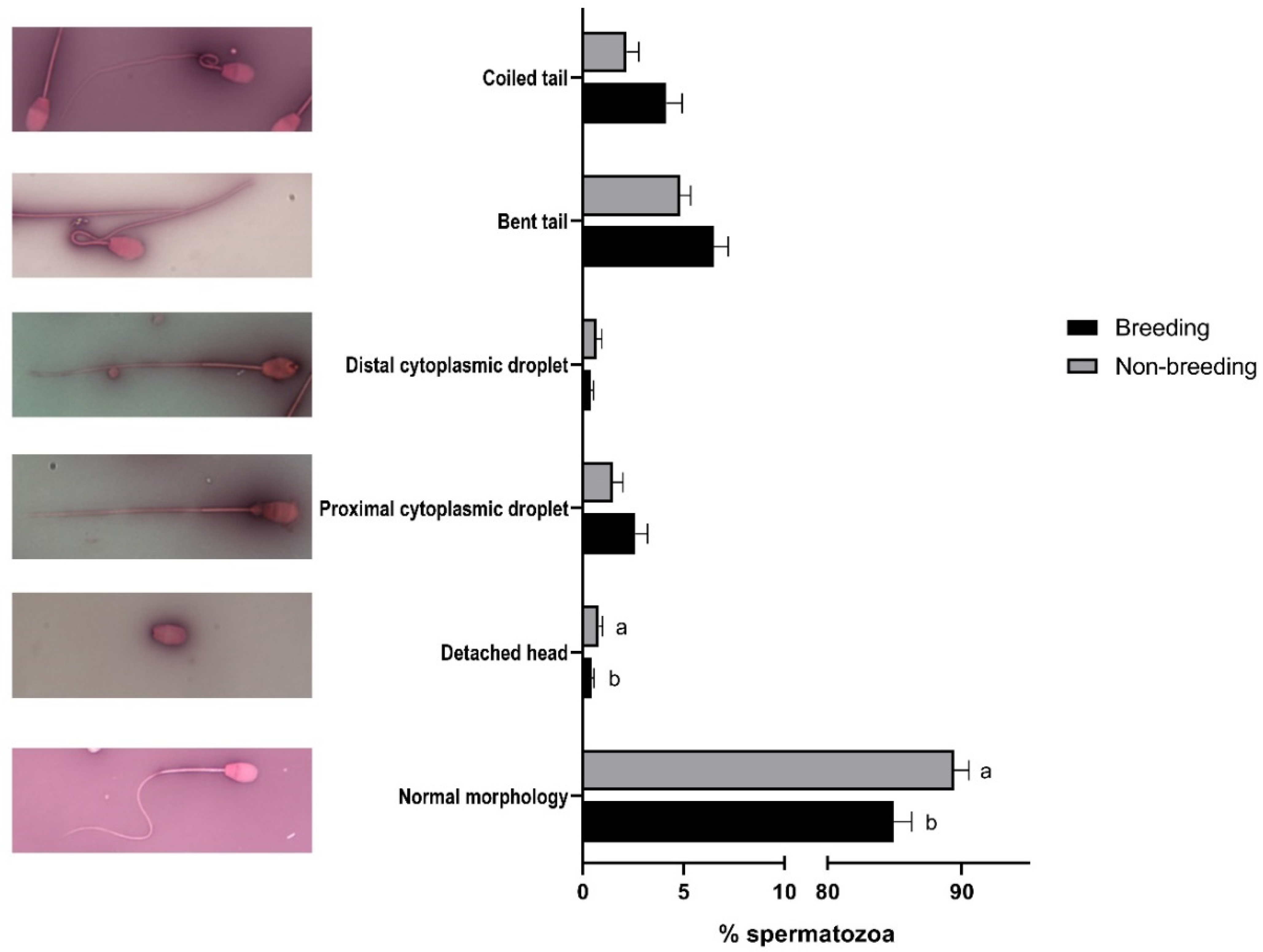 Biology 11 00261 g001