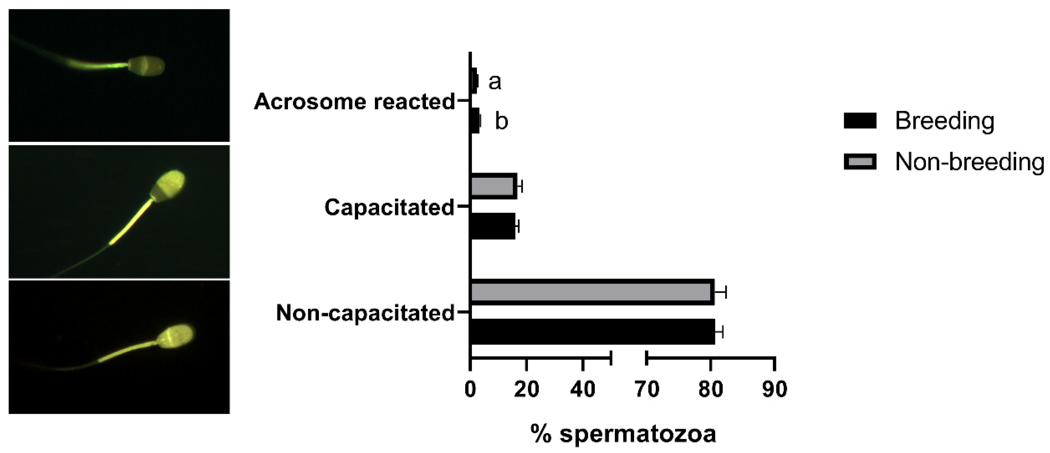 Biology 11 00261 g002