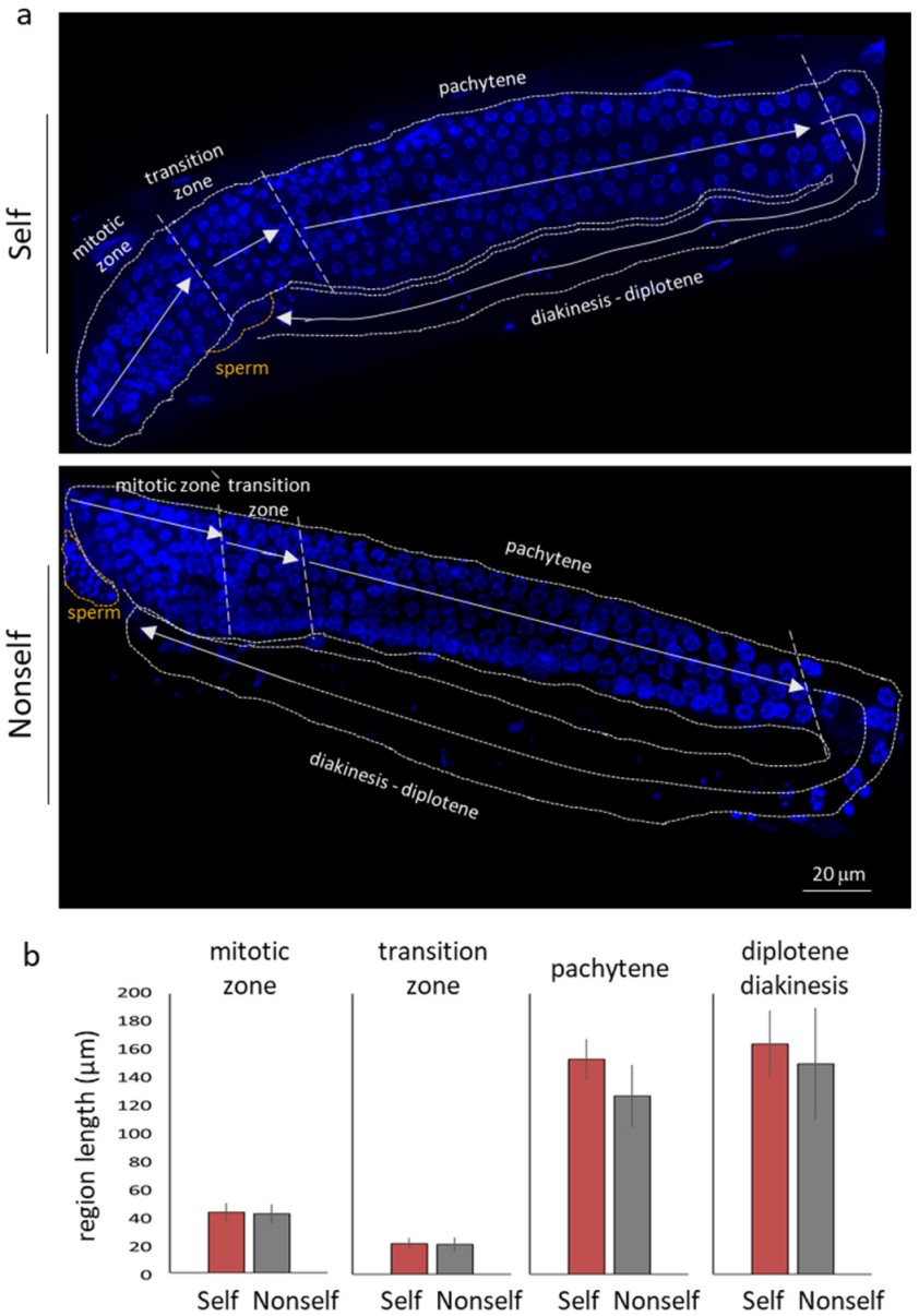 Biology 11 00262 g005