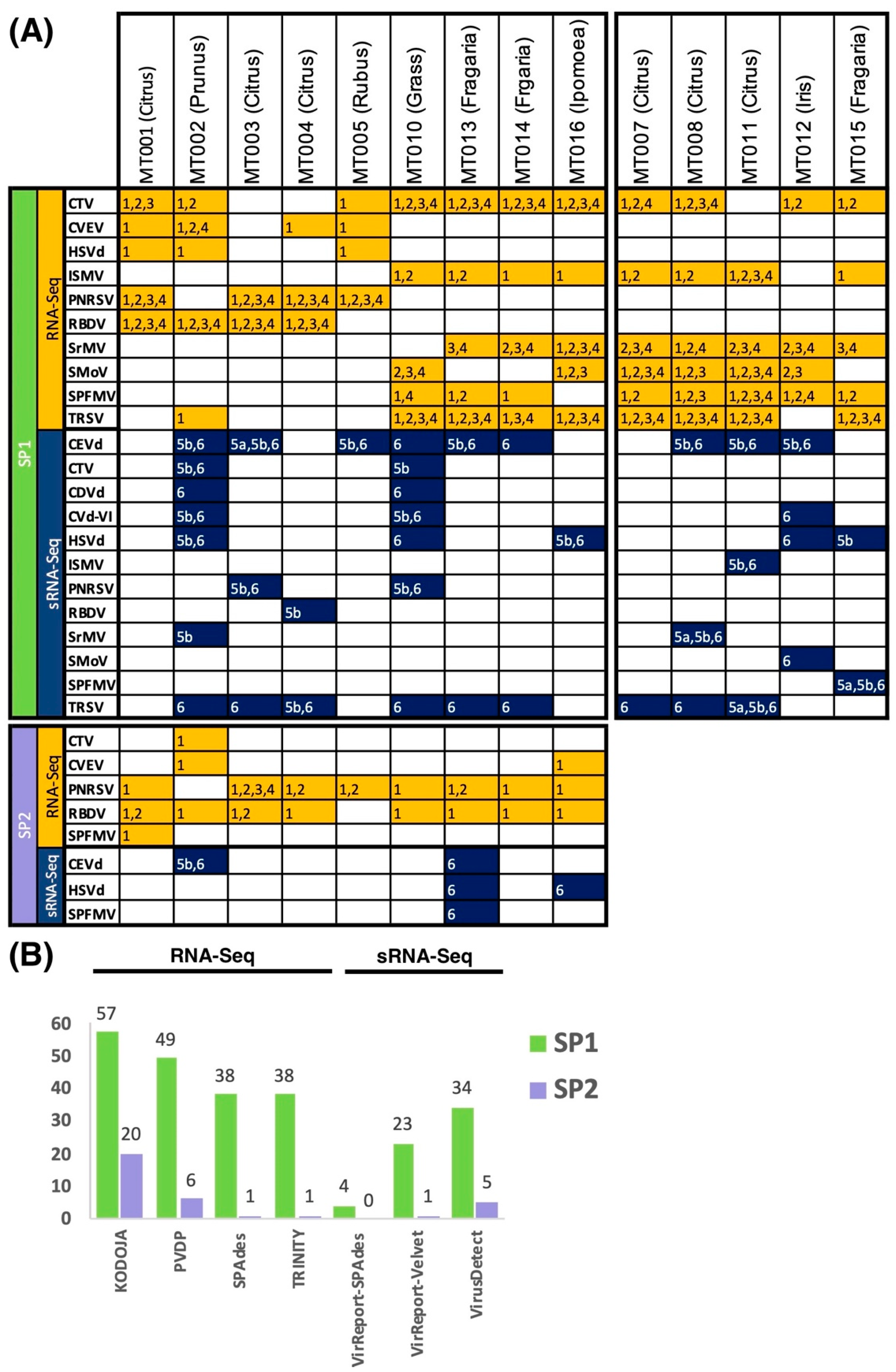 Biology 11 00263 g004