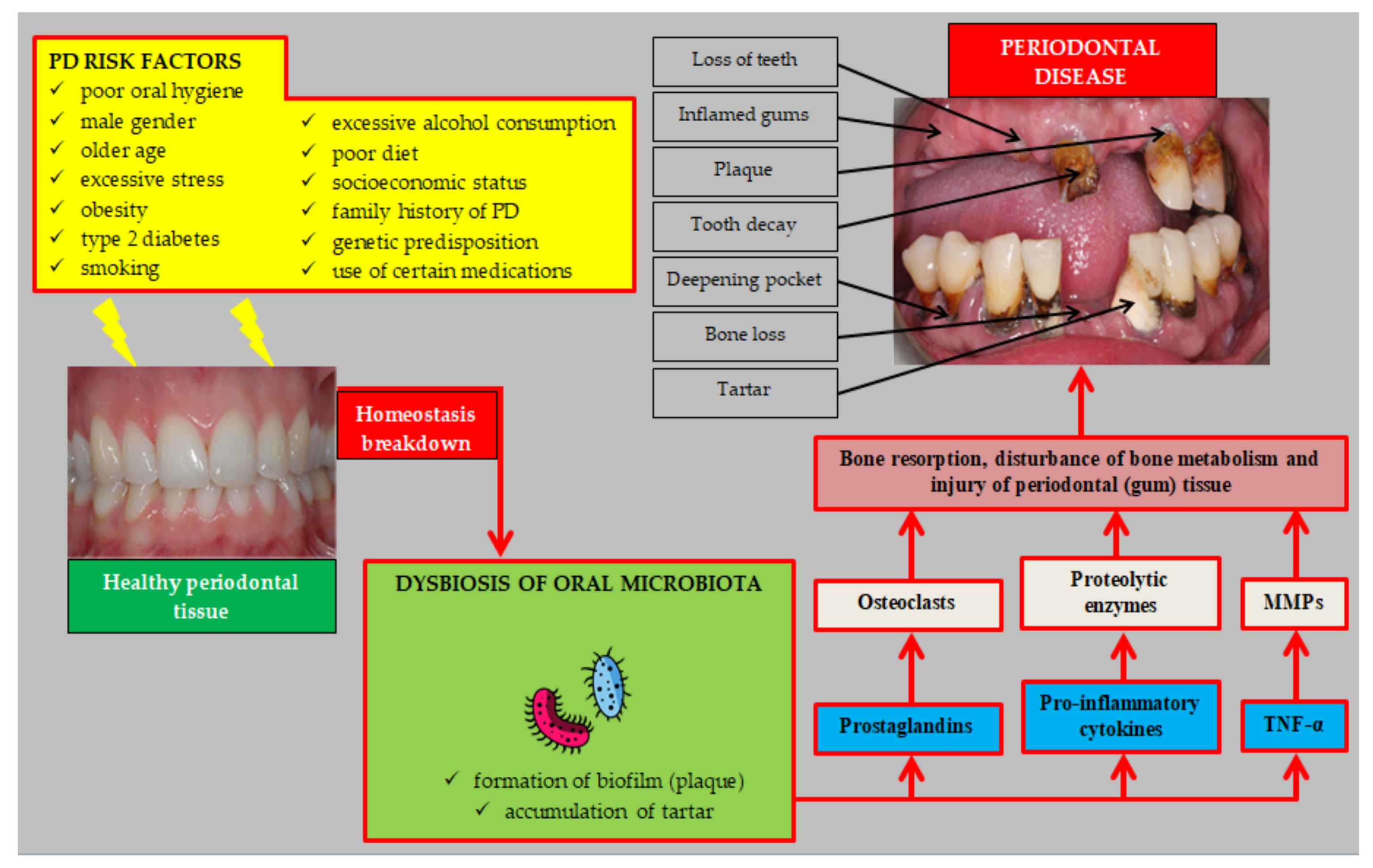 Biology 11 00272 g001
