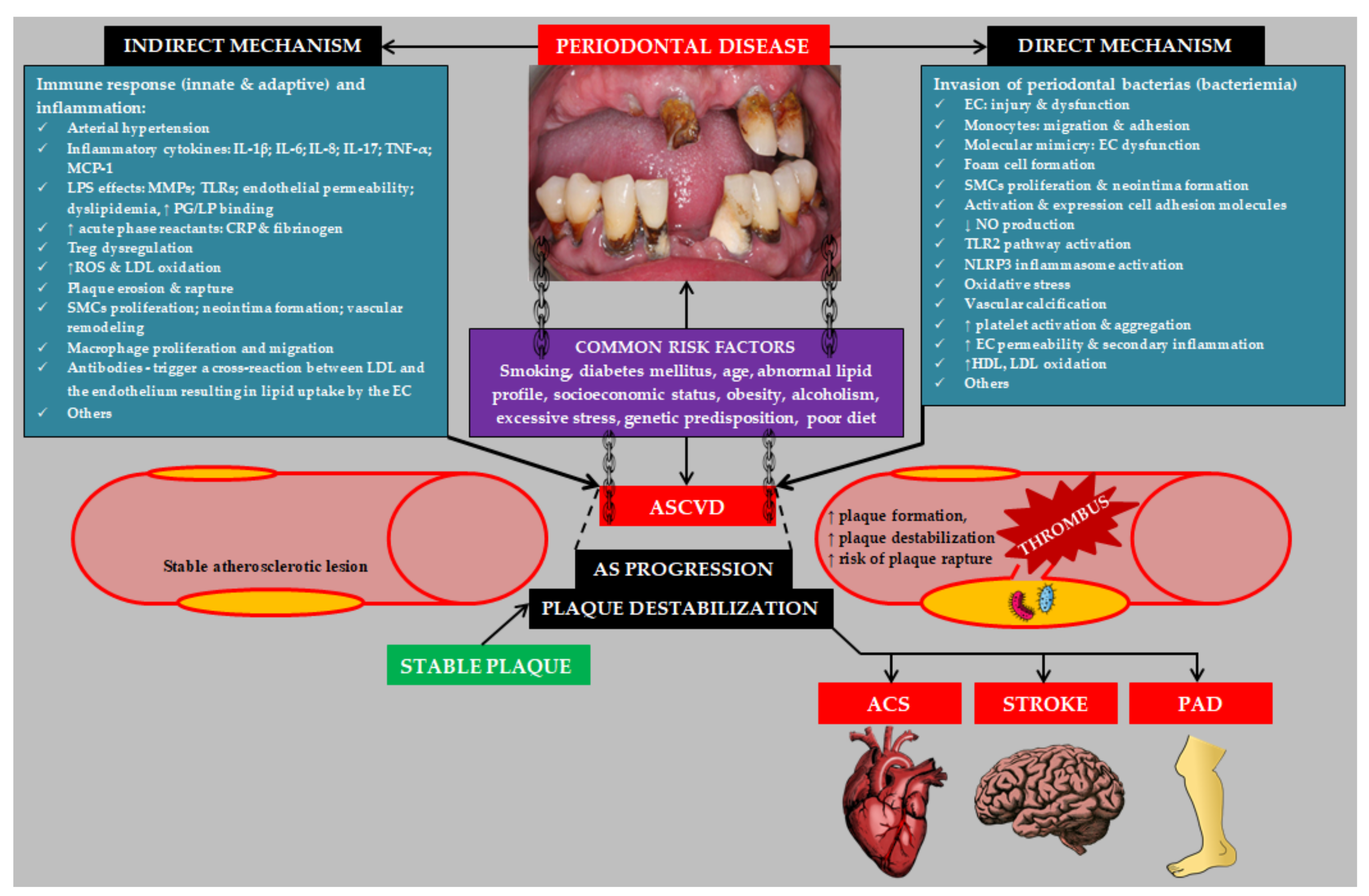 Biology 11 00272 g002