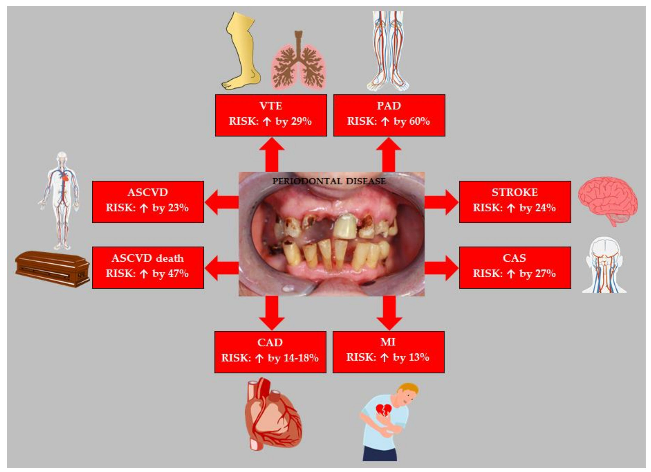 Biology 11 00272 g003