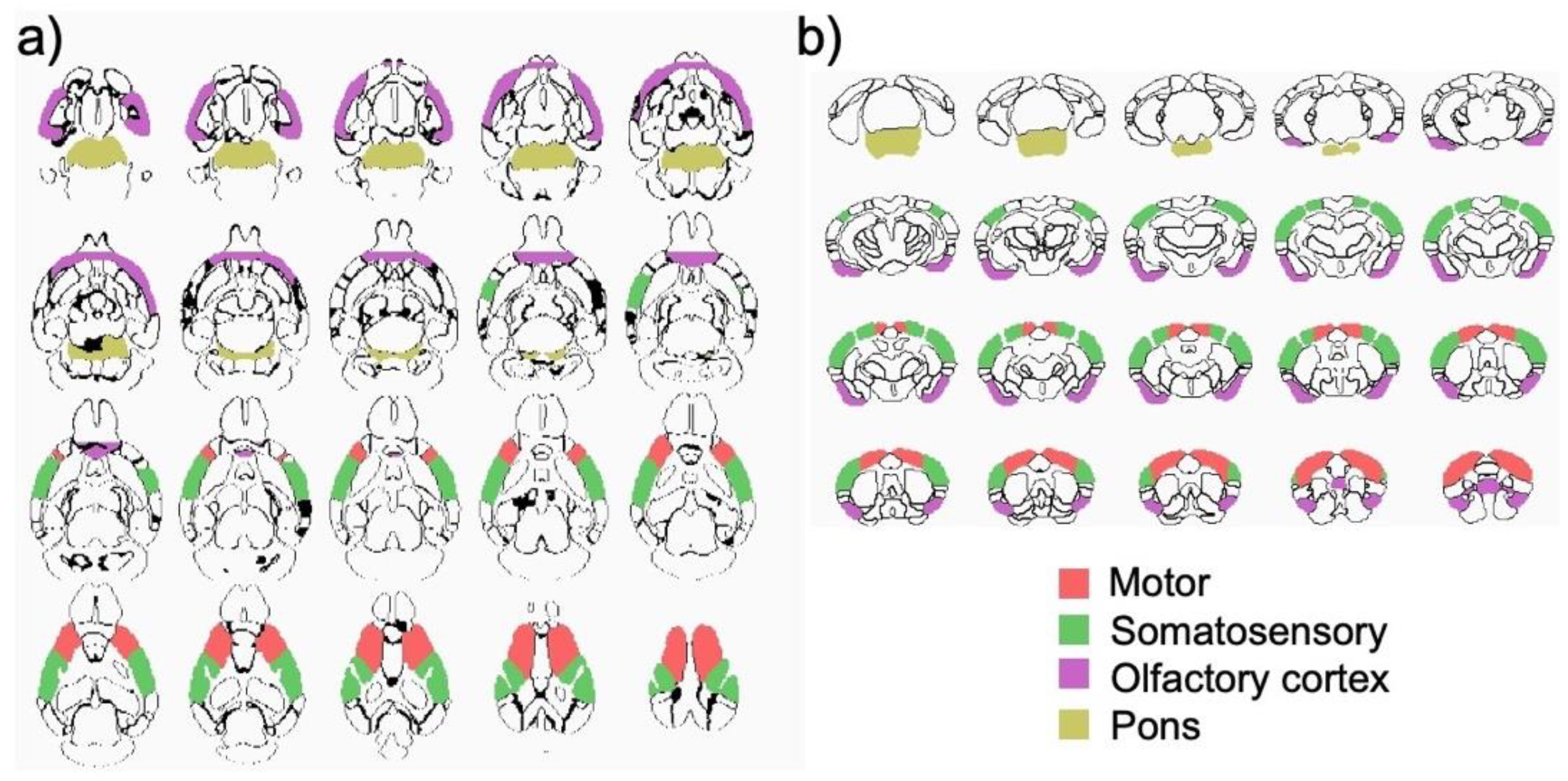 Biology 11 00274 g005