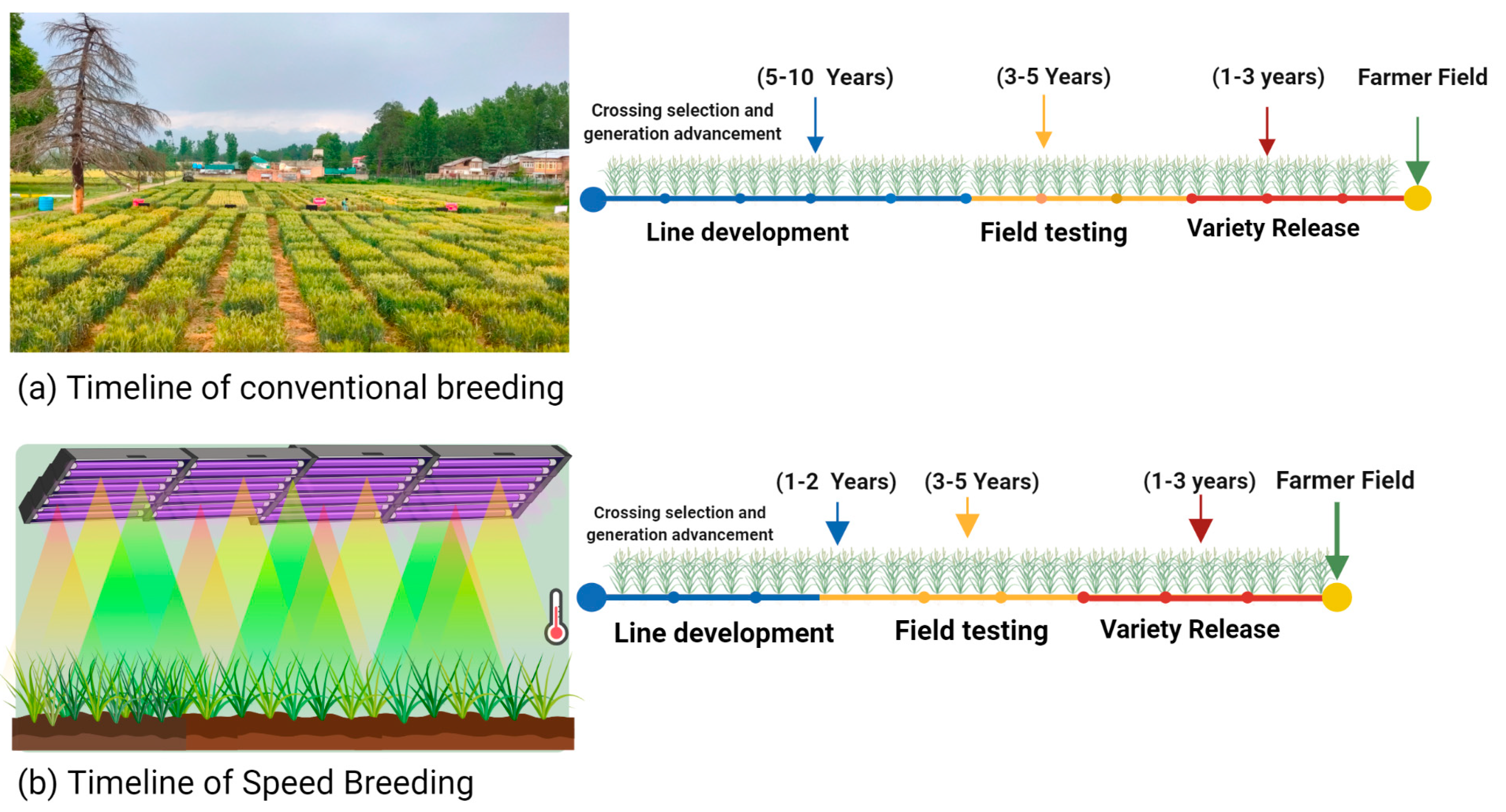 Biology 11 00275 g001