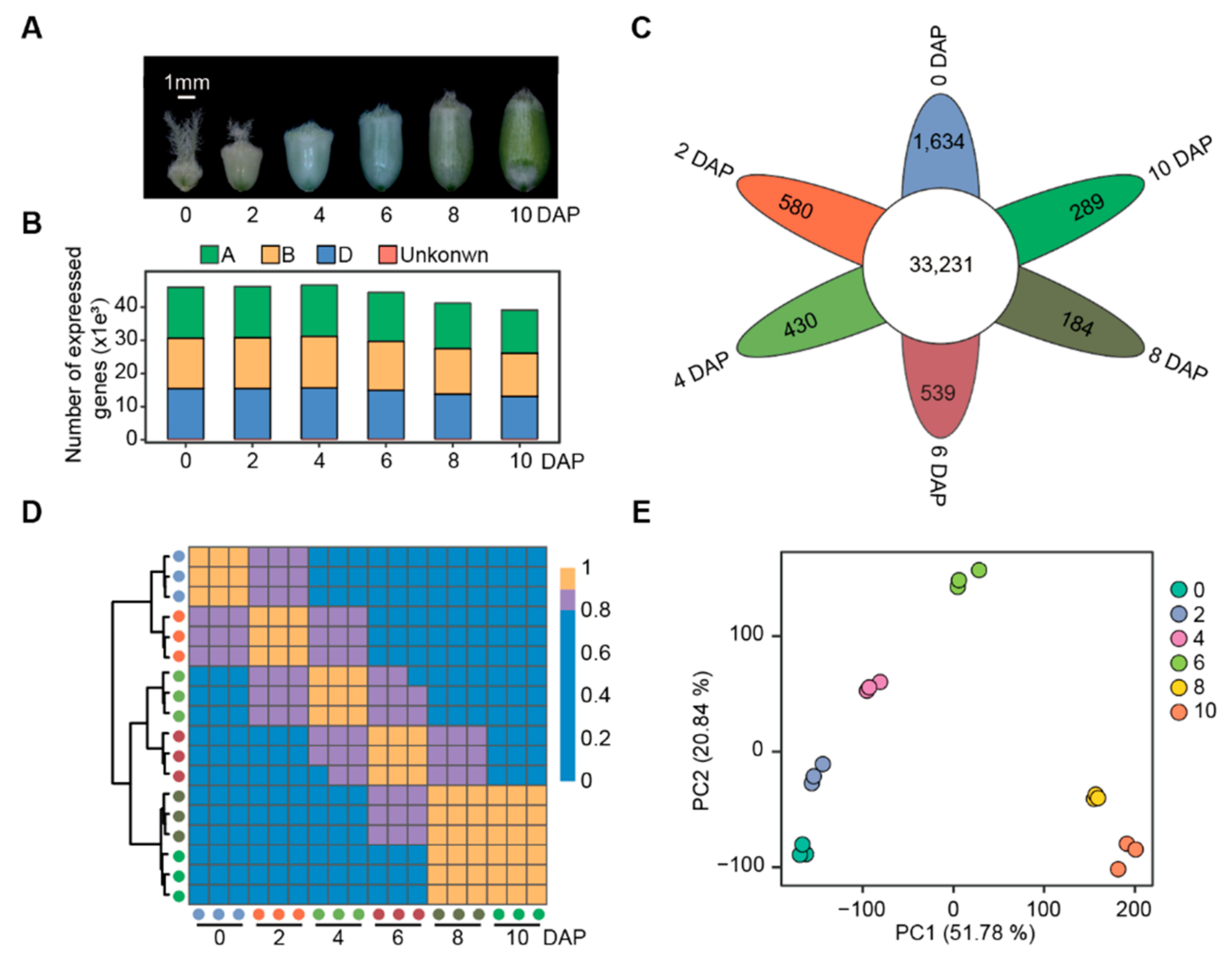 Biology 11 00281 g001
