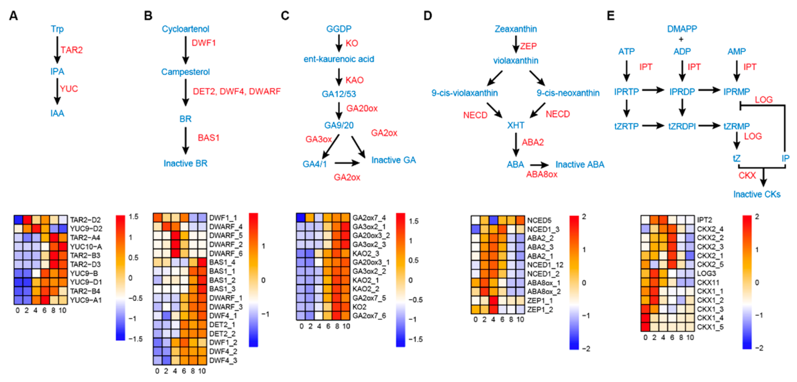 Biology 11 00281 g003