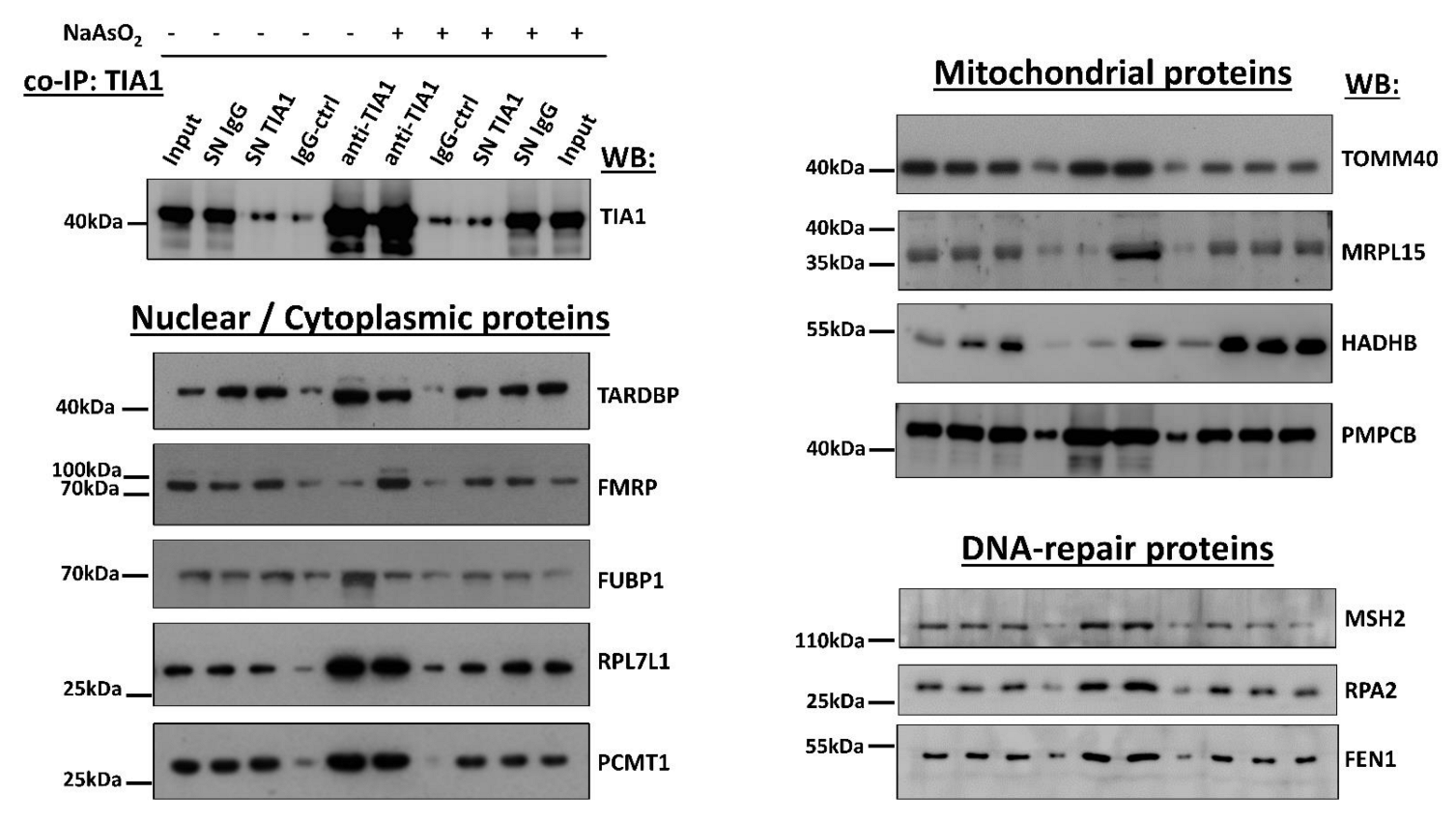 Biology 11 00287 g005