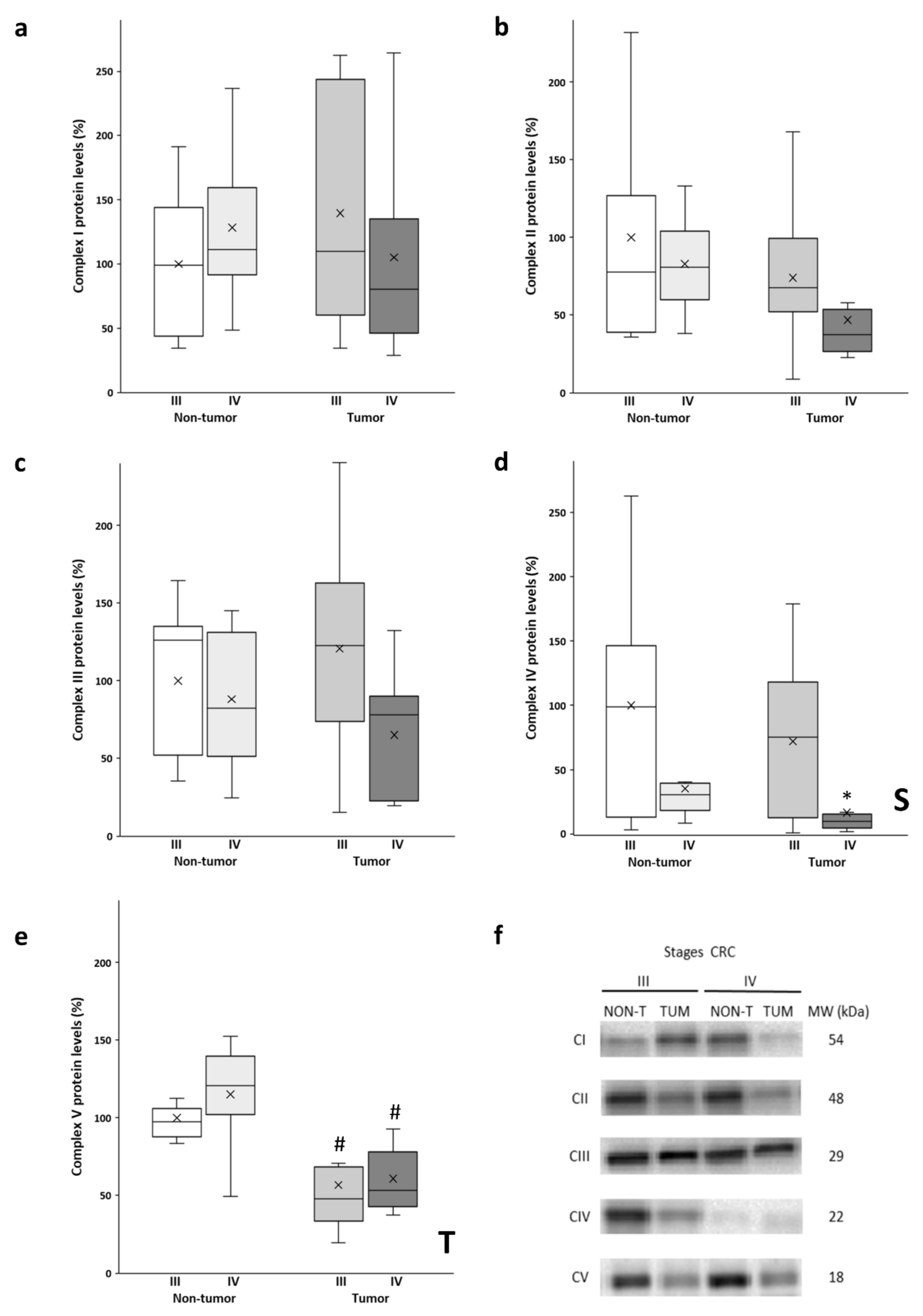 Biology 11 00293 g001