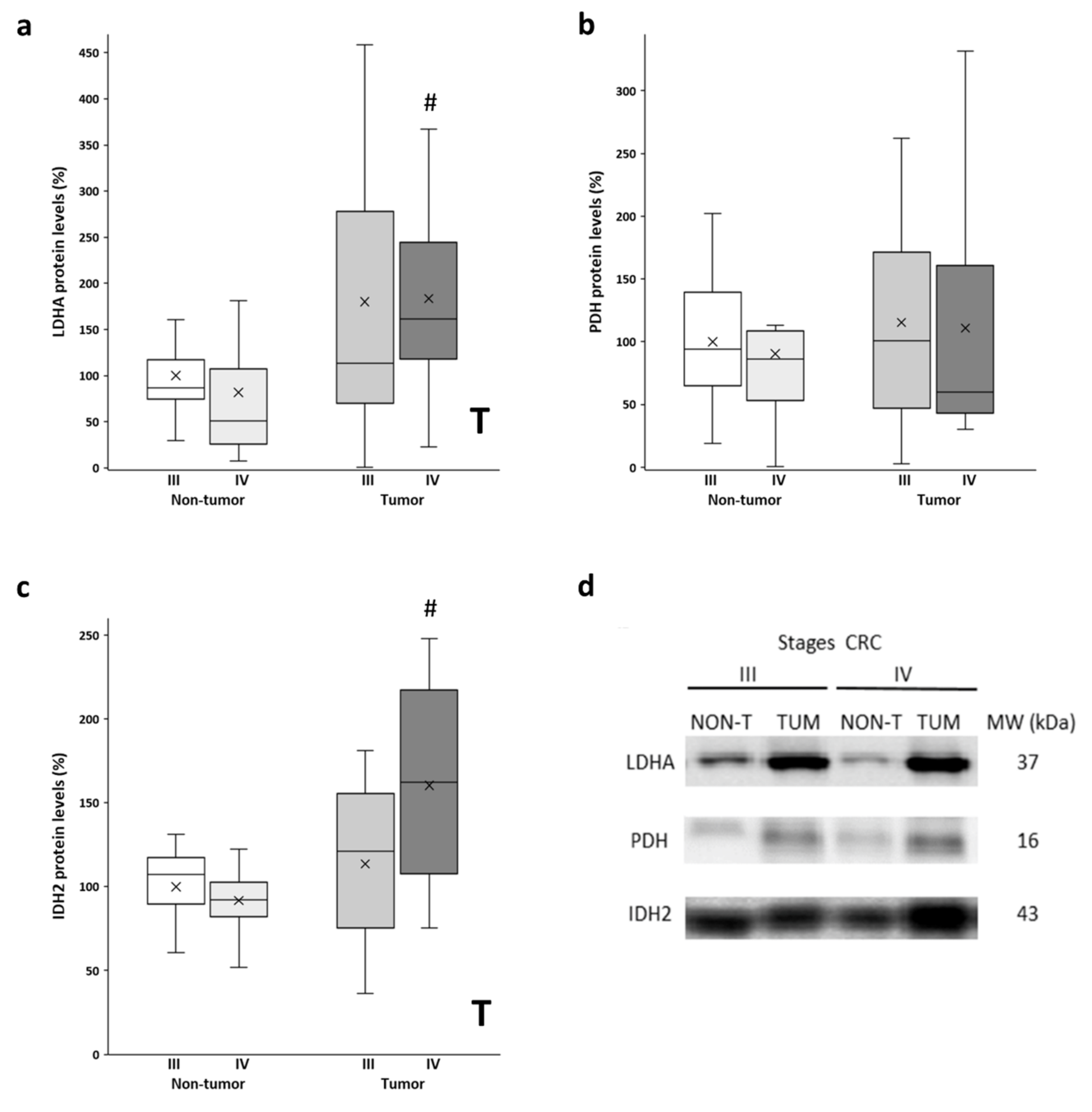 Biology 11 00293 g002