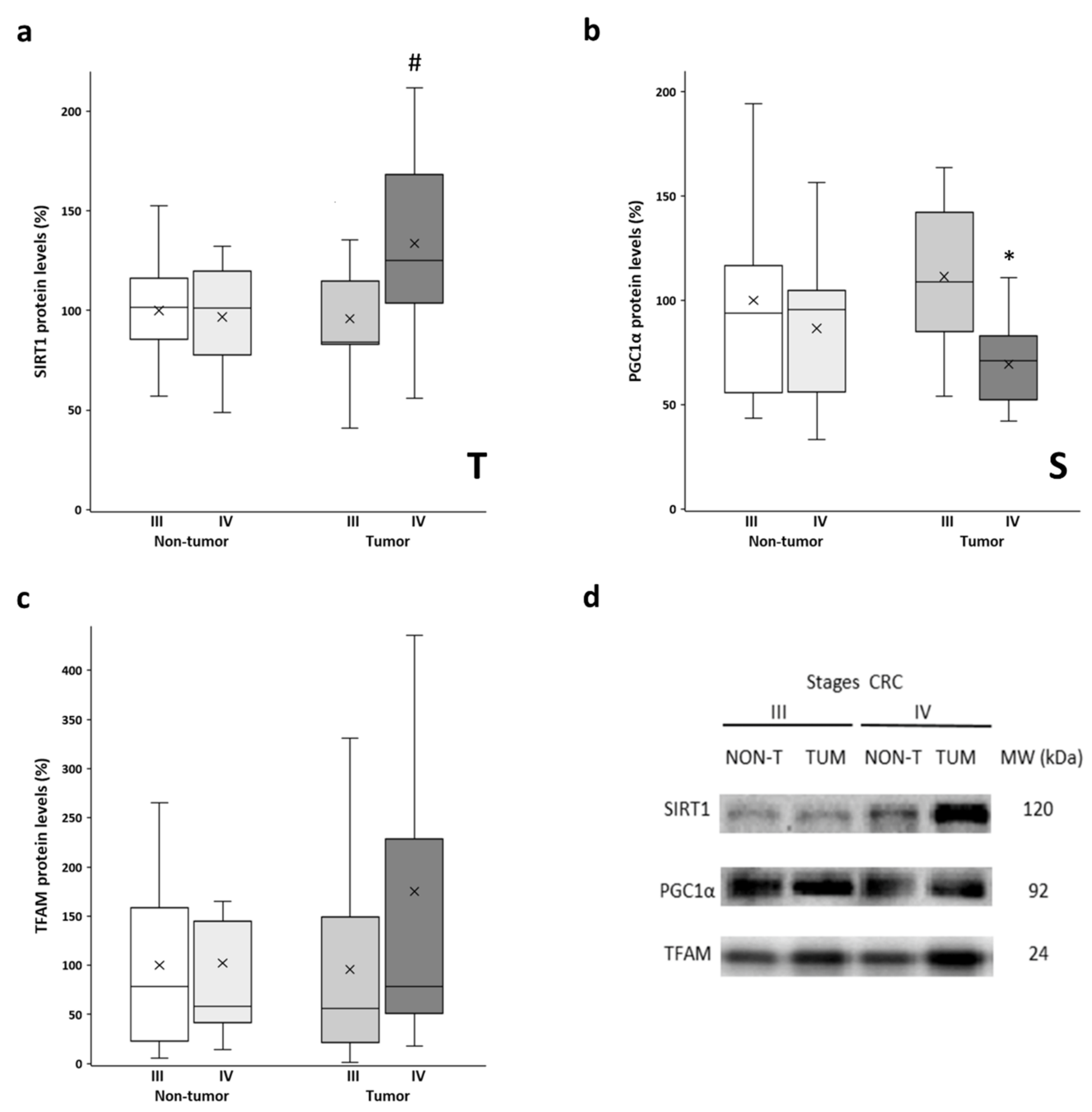 Biology 11 00293 g003