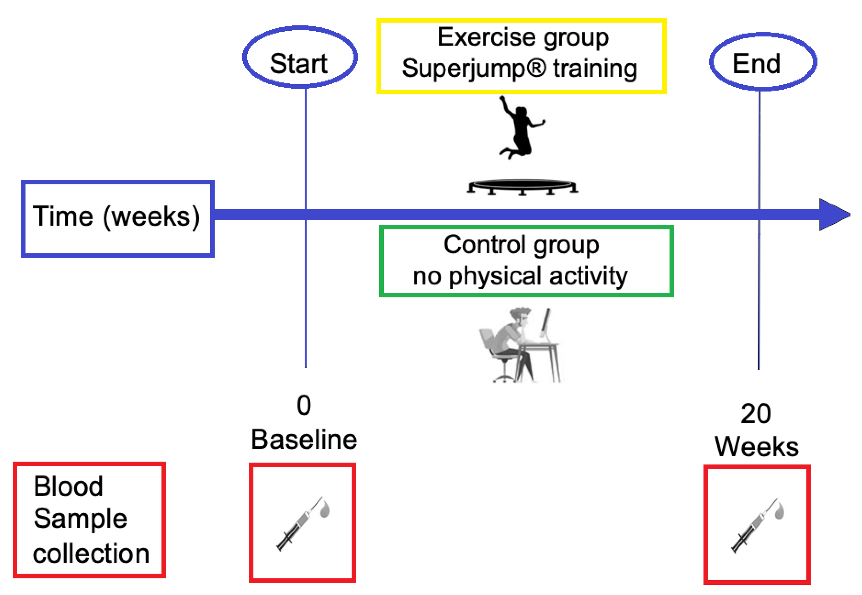 Biology 11 00296 g001