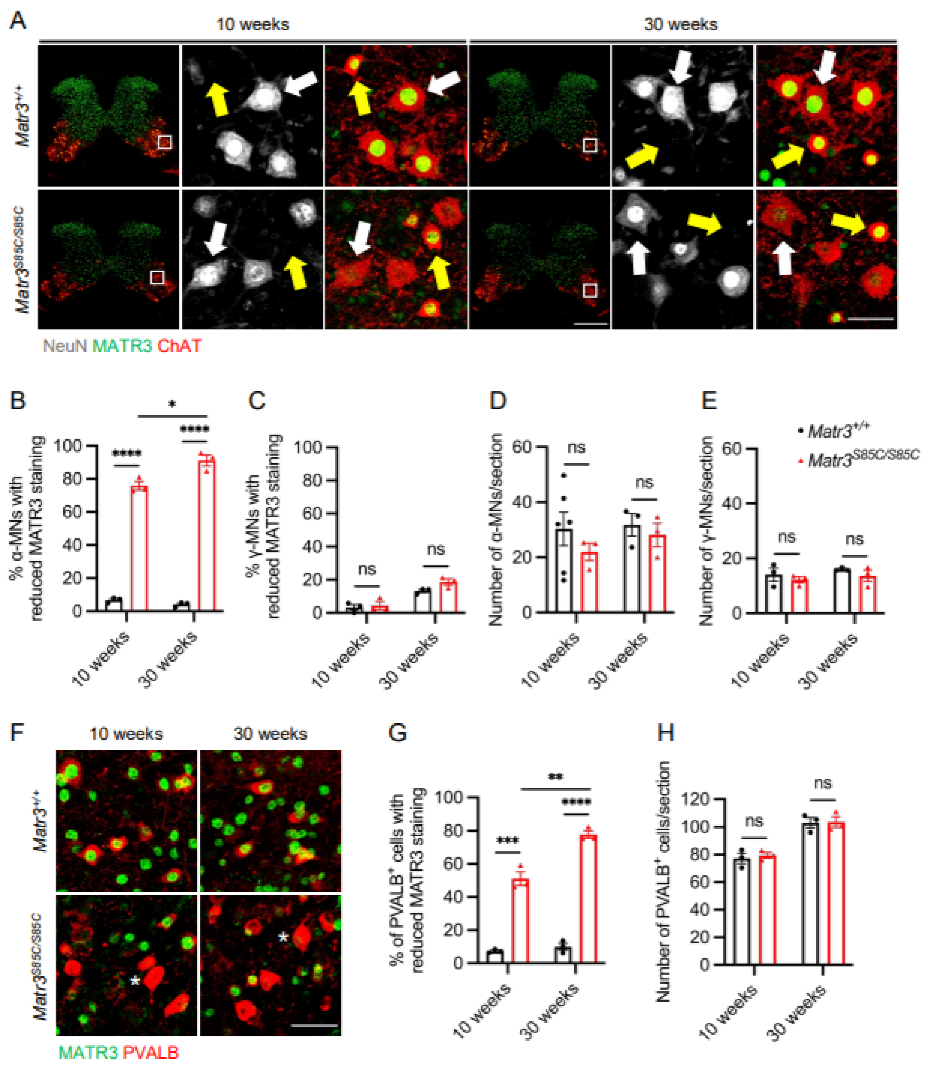 Biology 11 00298 g001