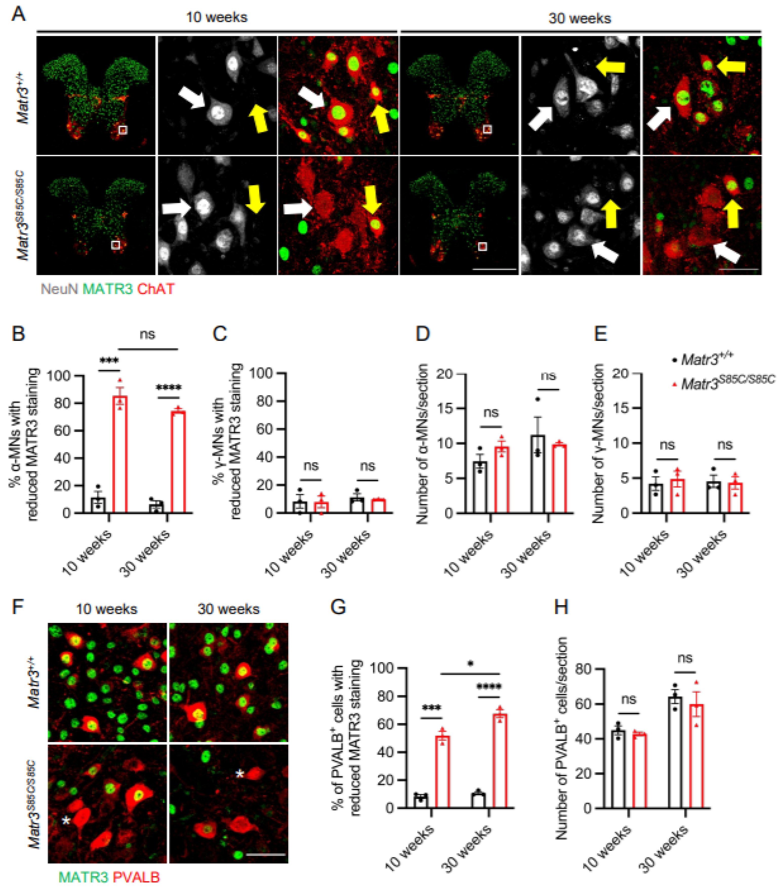 Biology 11 00298 g002