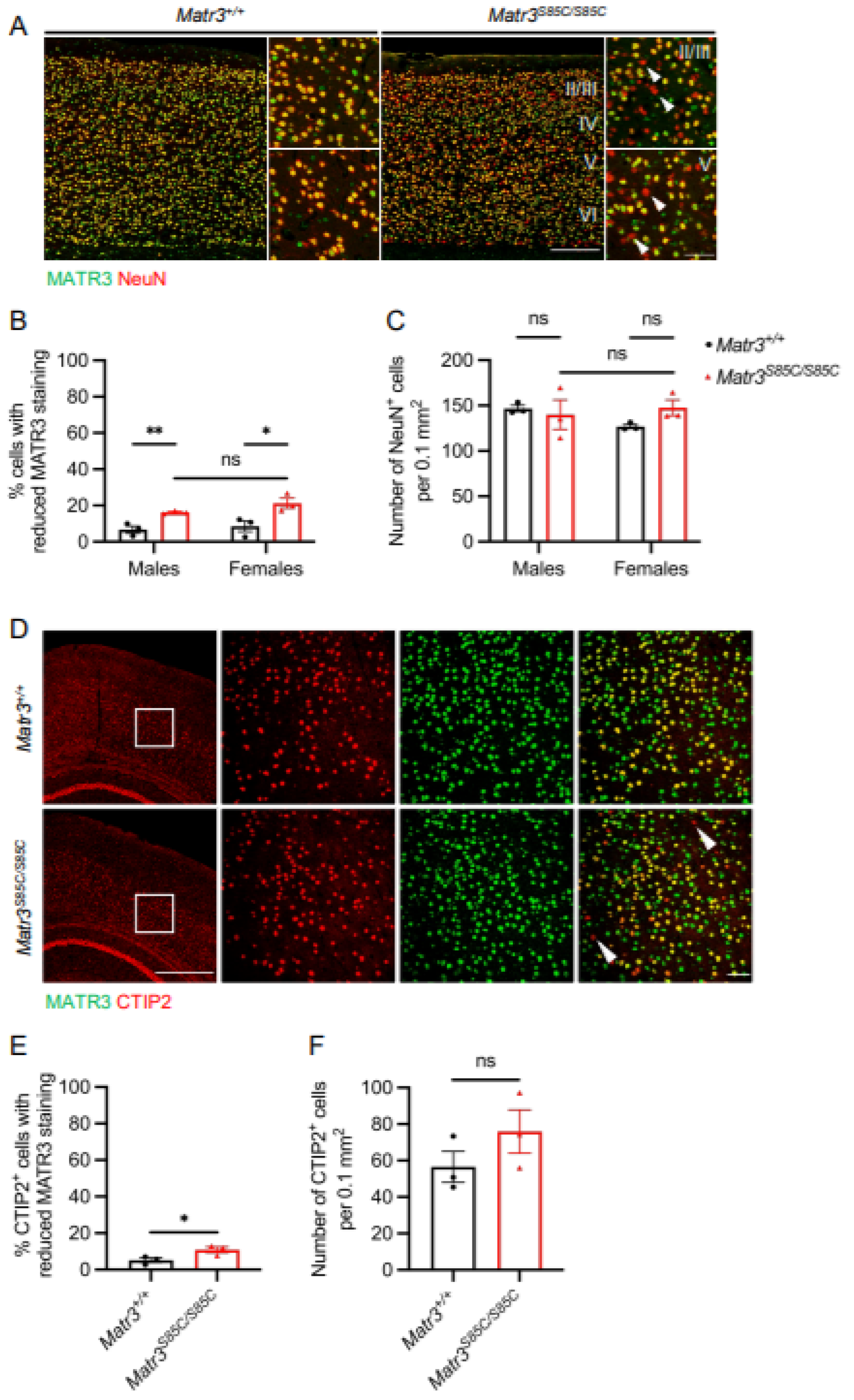 Biology 11 00298 g003