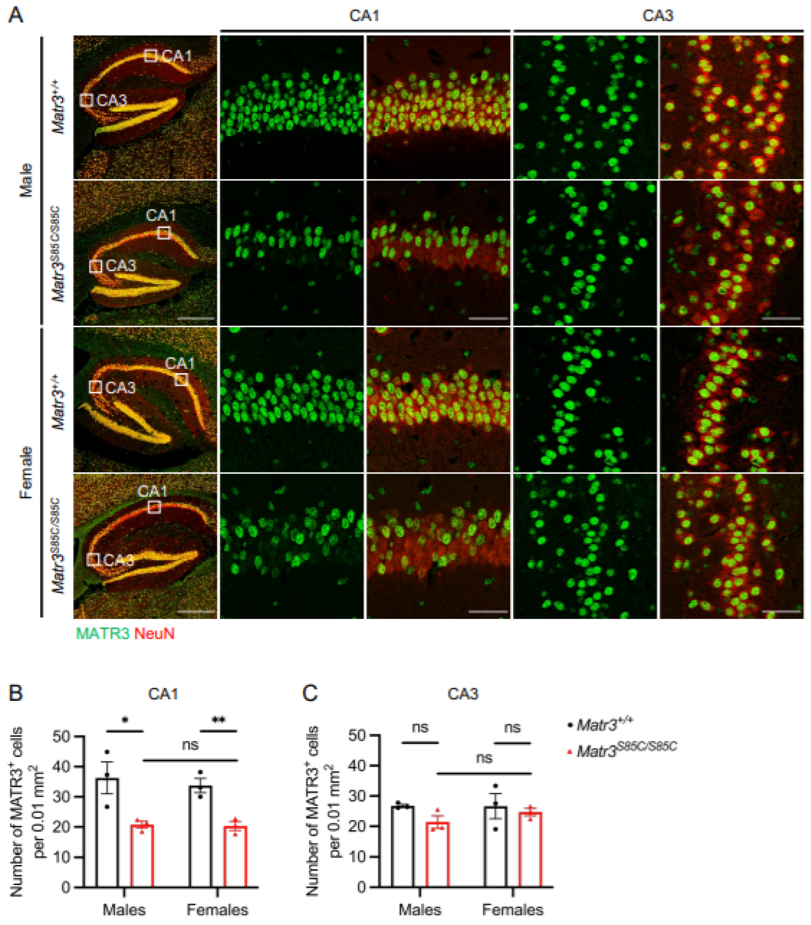 Biology 11 00298 g004