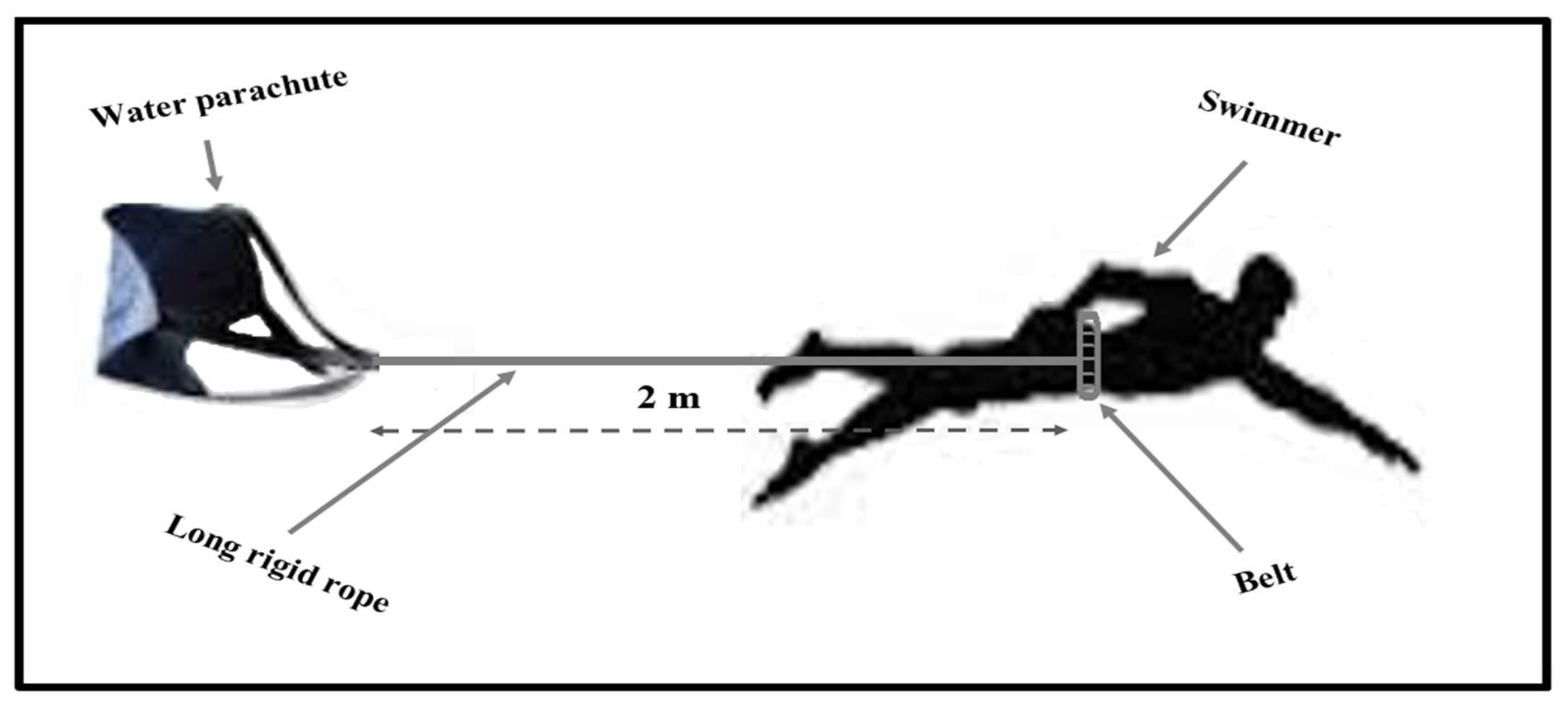 Biology 11 00299 g002