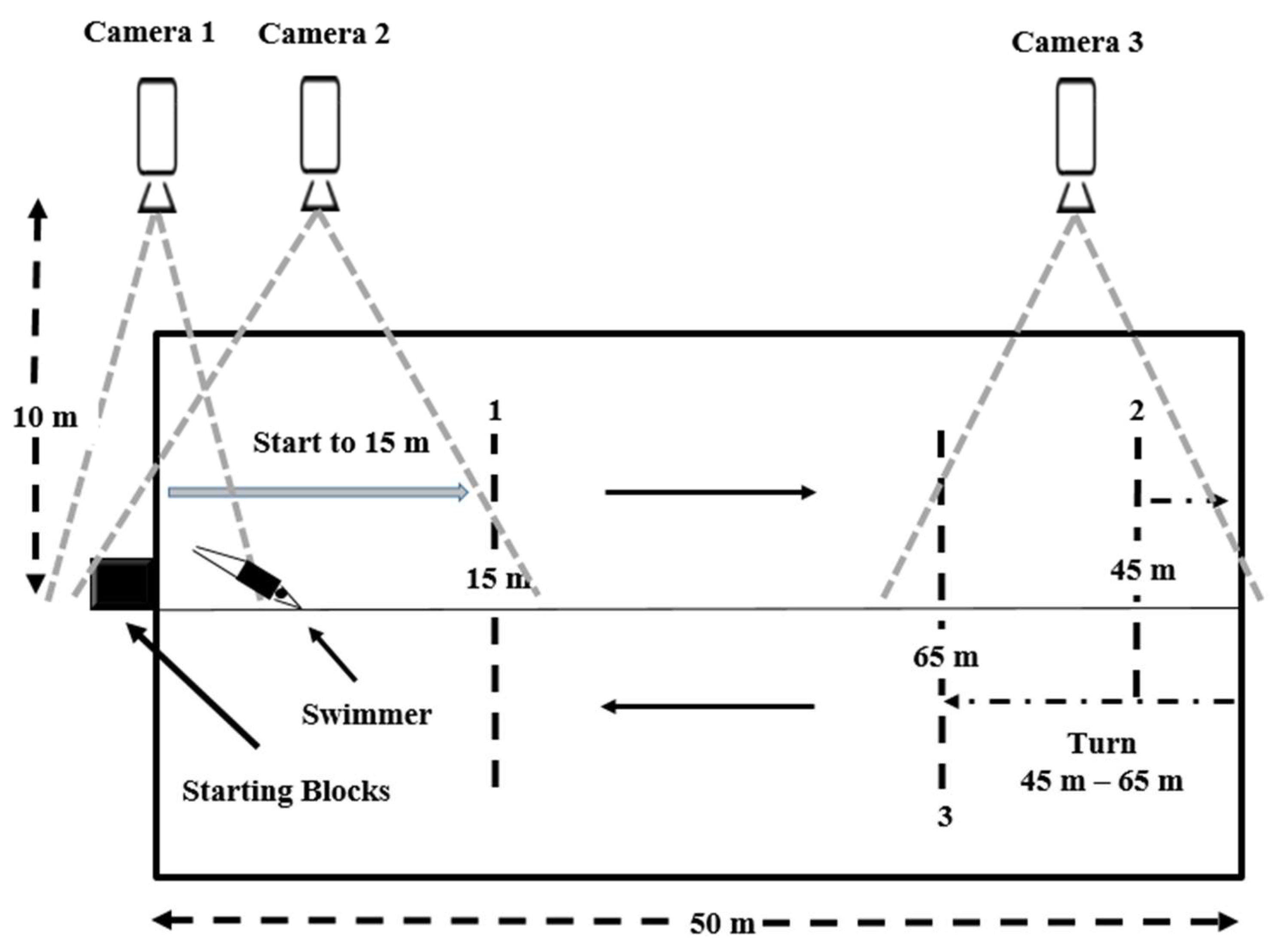 Biology 11 00299 g003