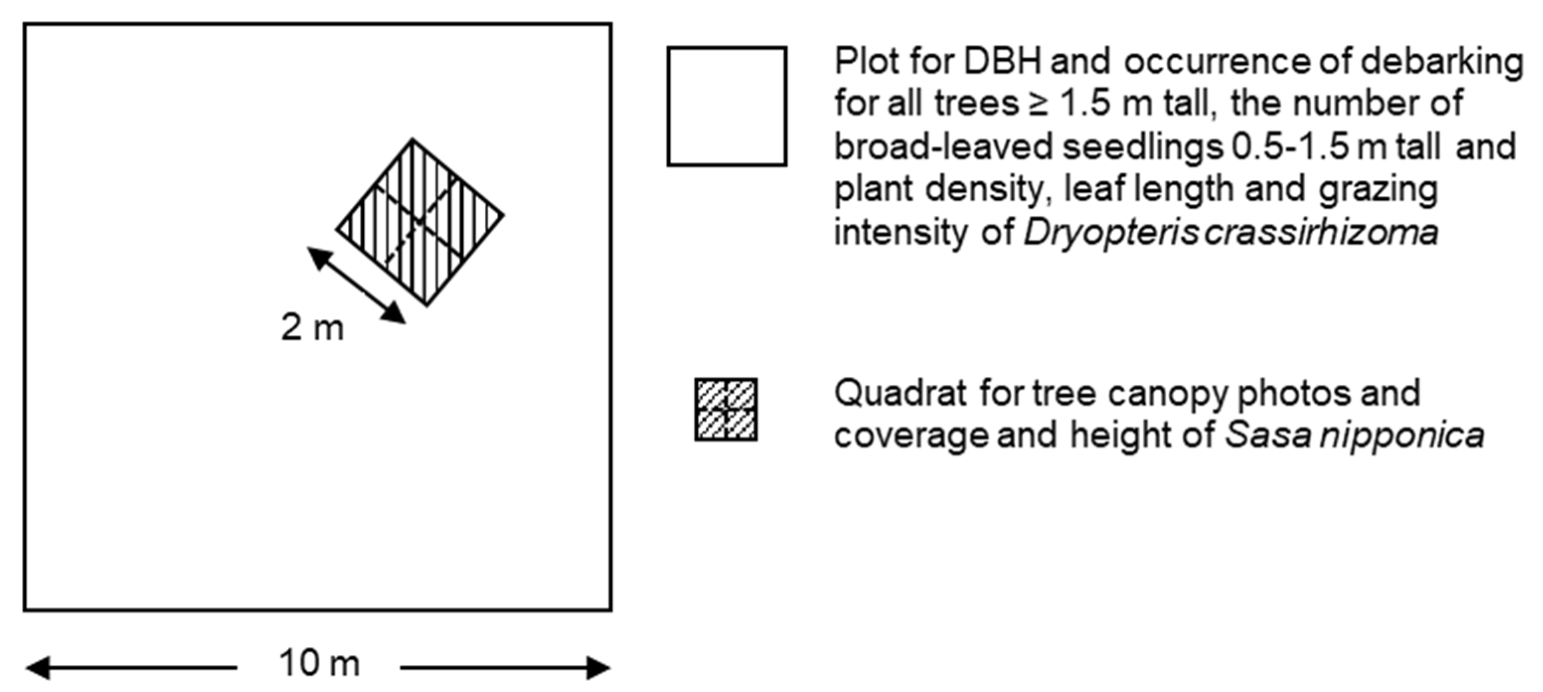 Biology 11 00302 g002