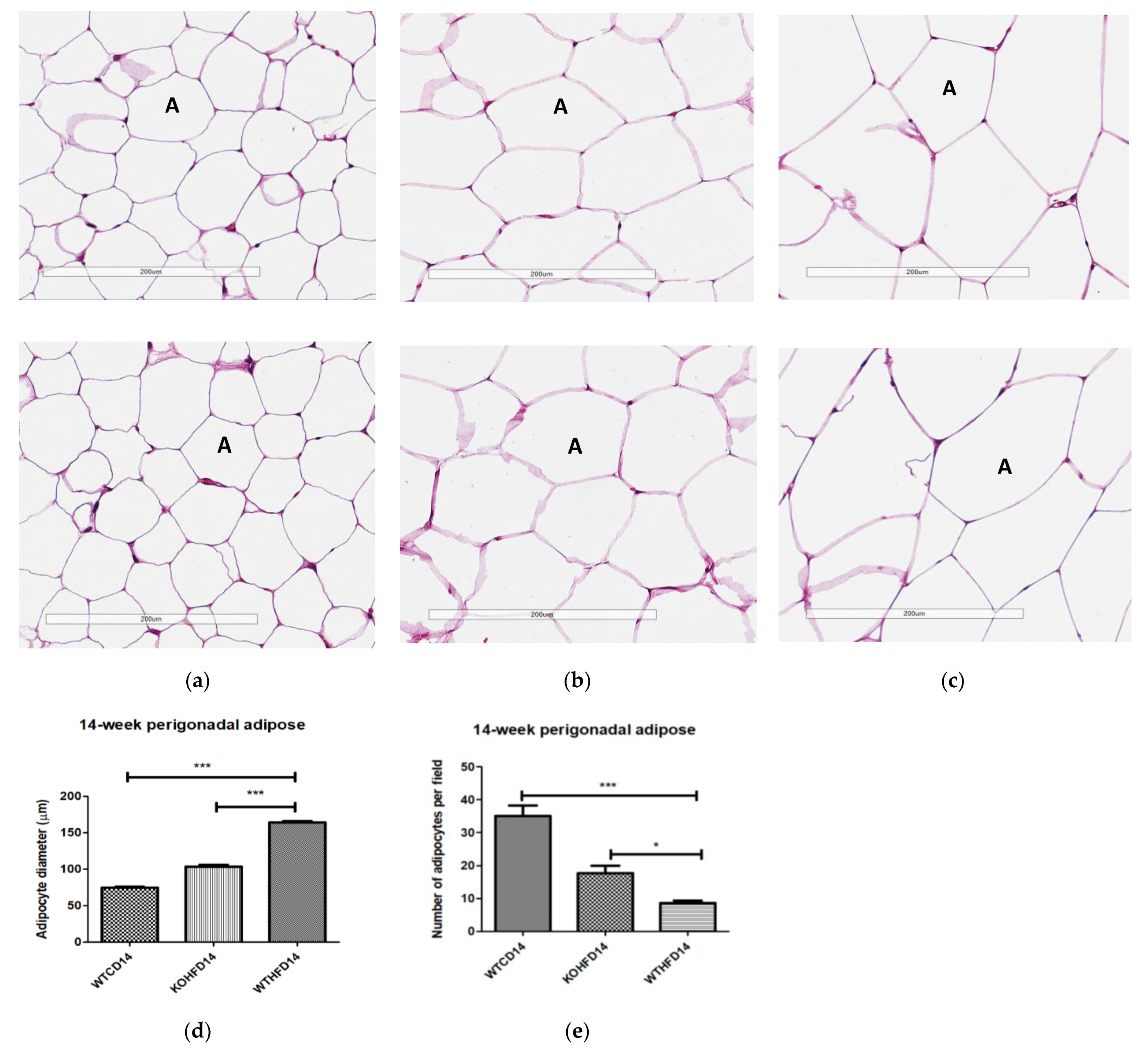 Biology 11 00311 g004a